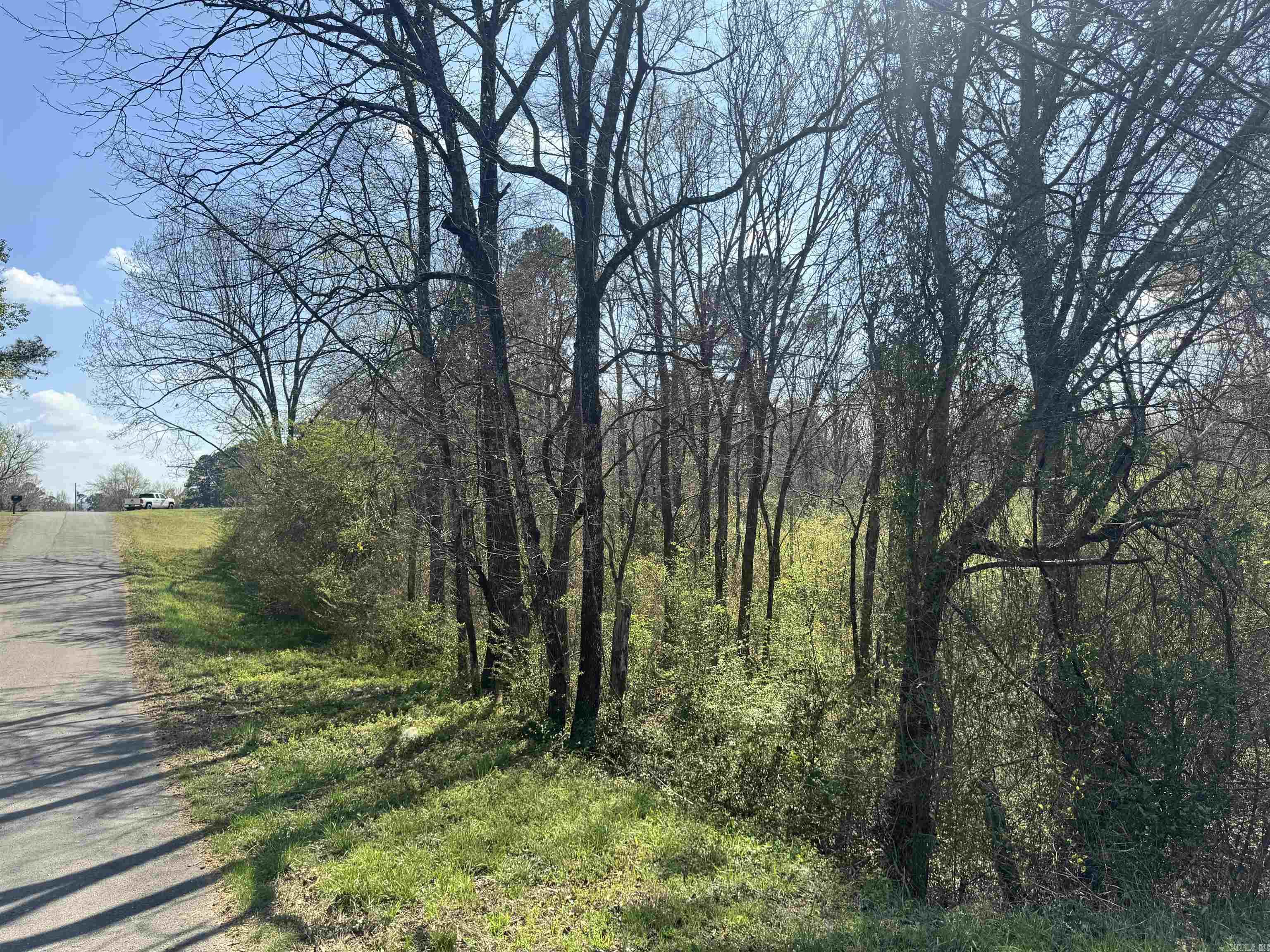 209 Finks Street  Mena, AR