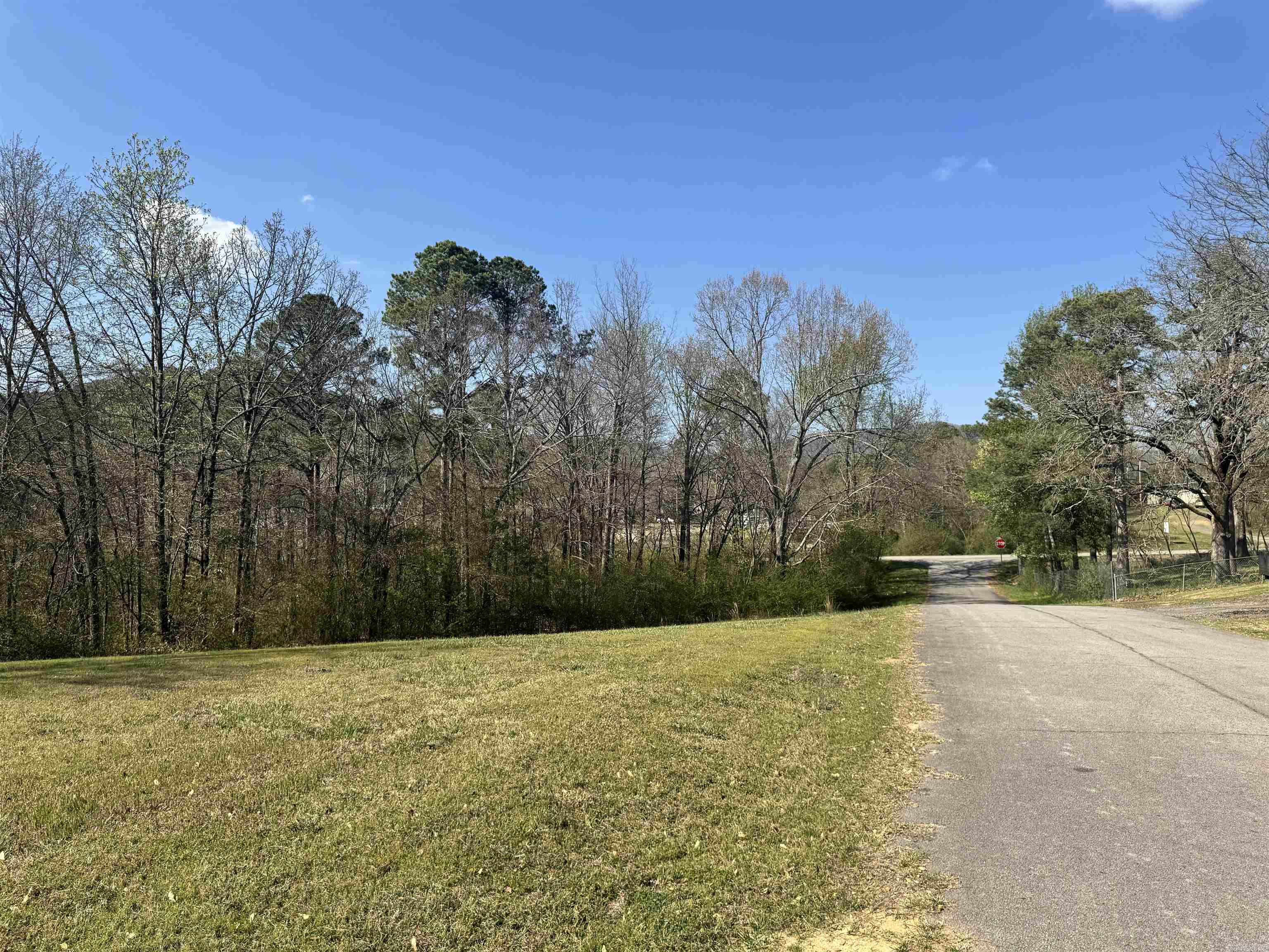 209 Finks Street  Mena, AR