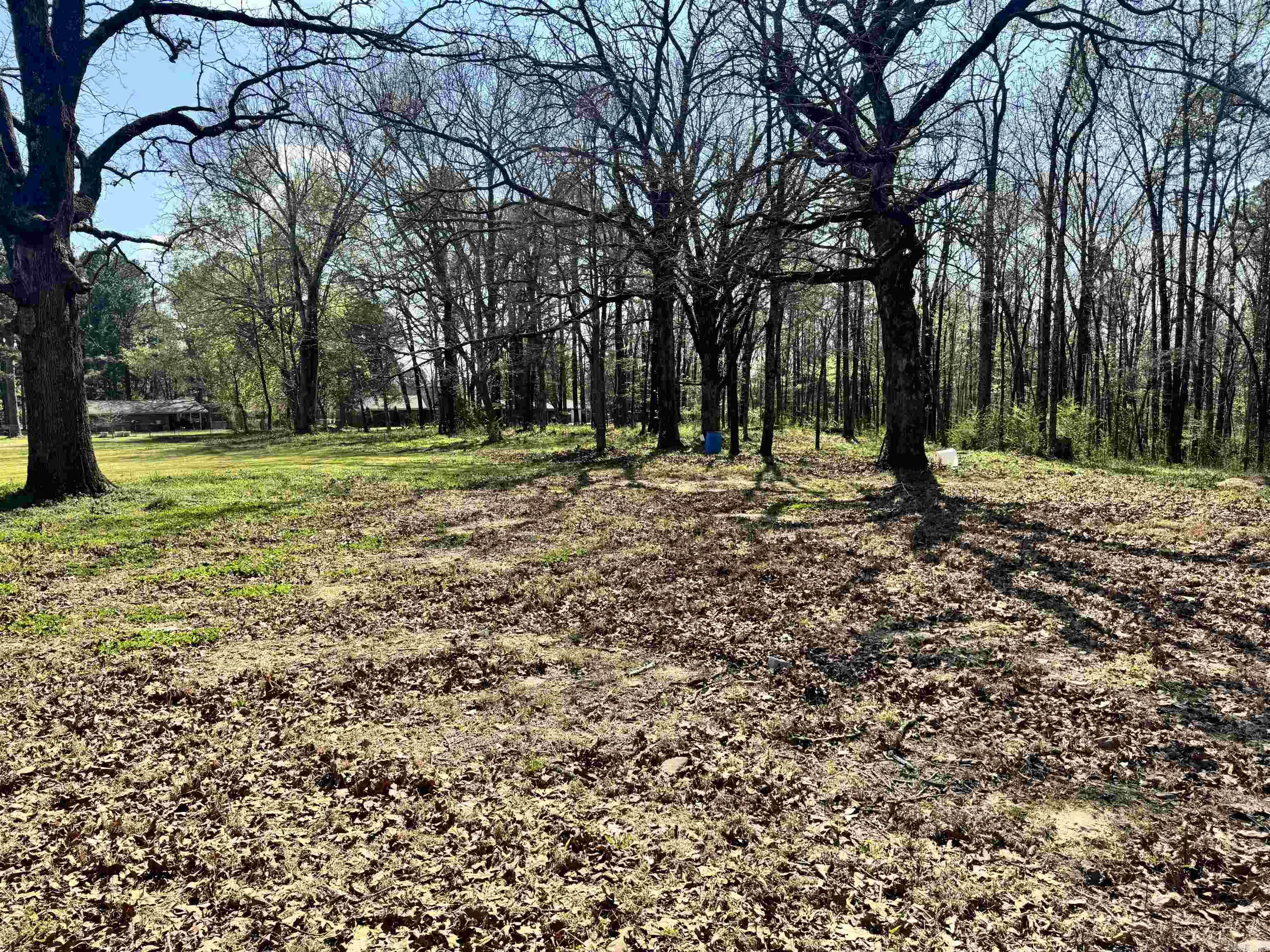 209 Finks Street  Mena, AR