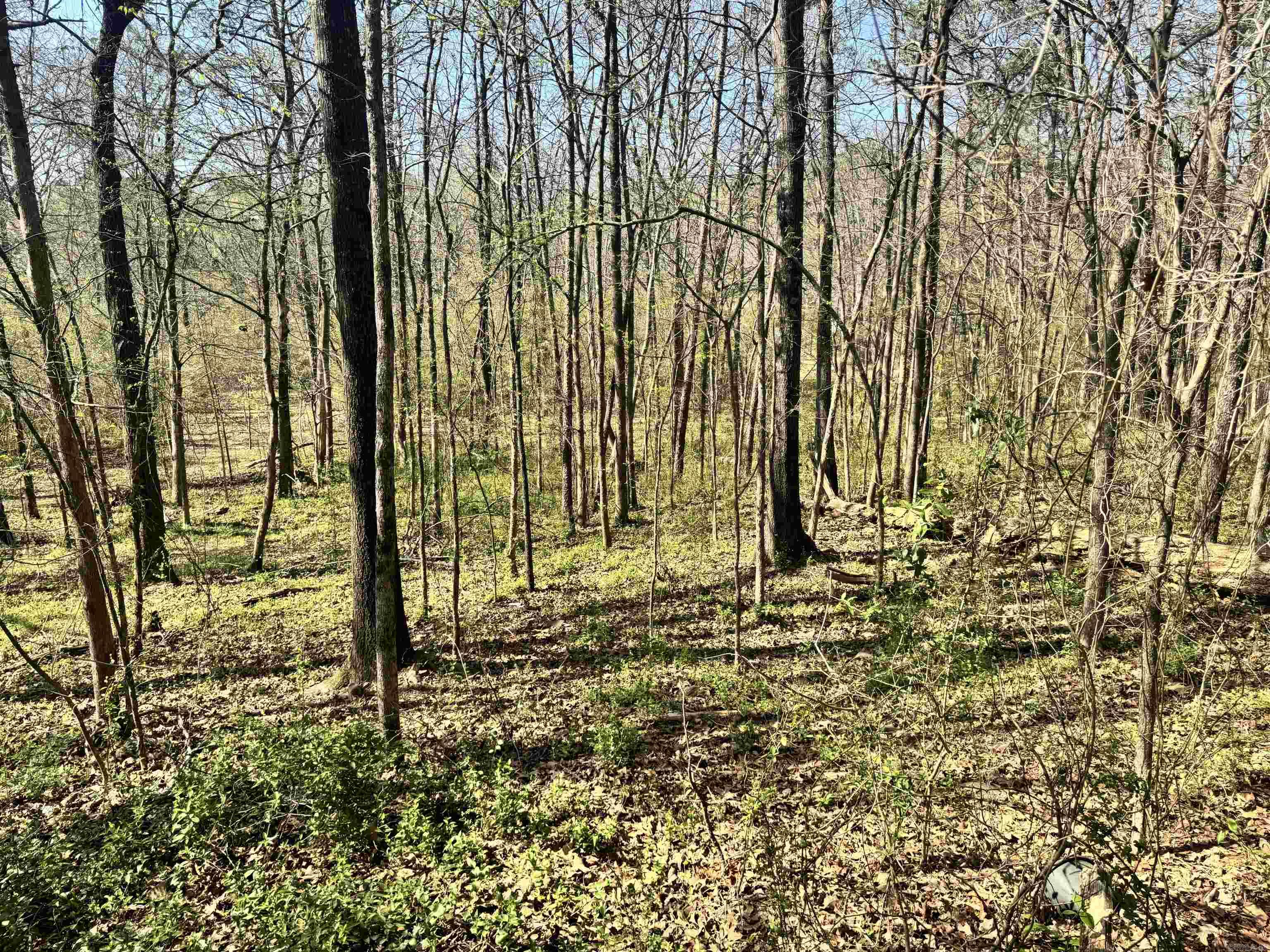 209 Finks Street  Mena, AR