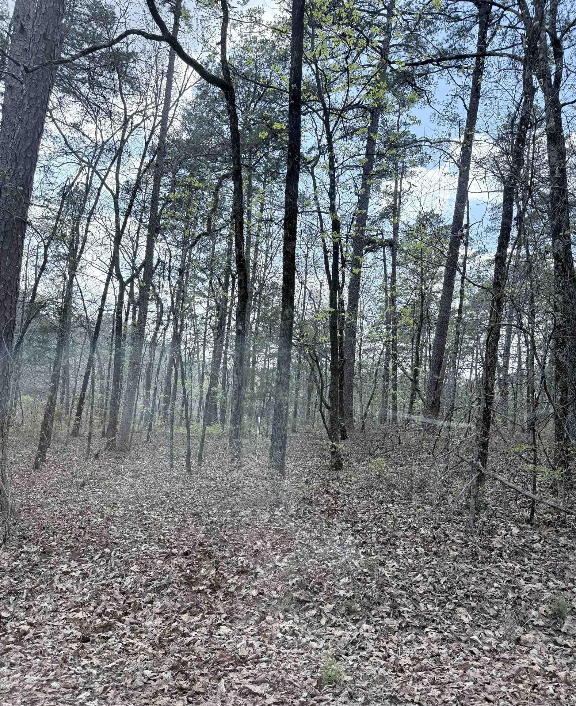 6 Tafalla  Hot Springs Village, AR