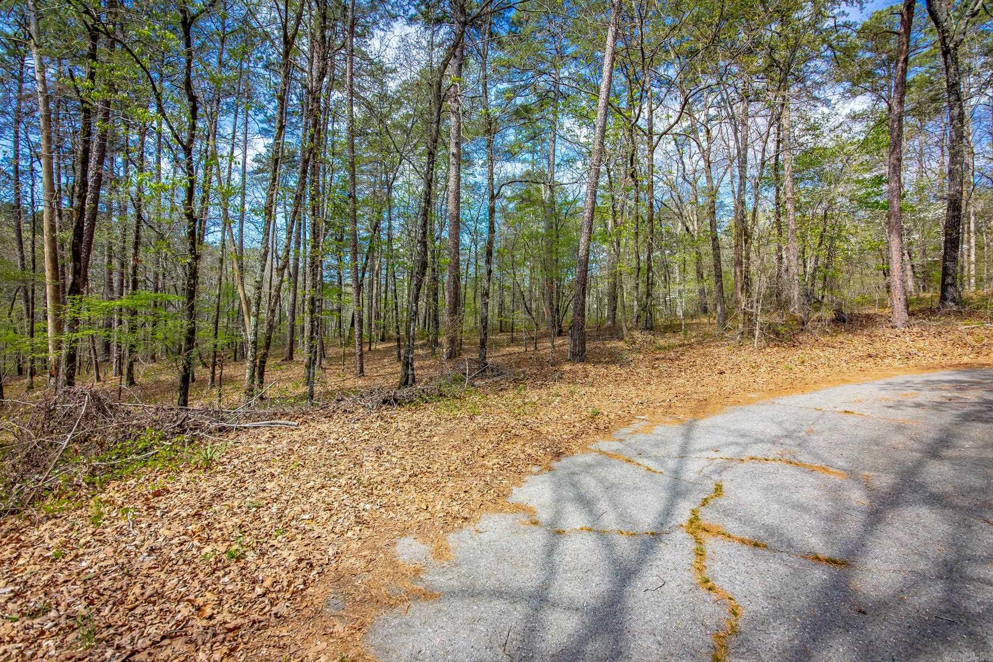 6 Tafalla  Hot Springs Village, AR