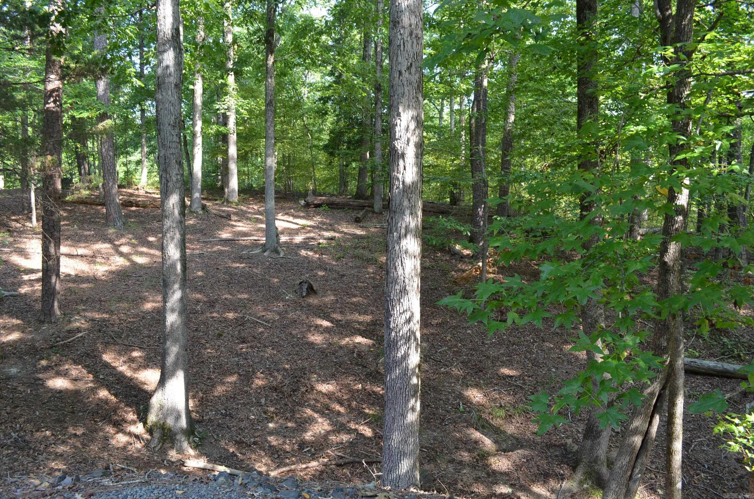 1 Sacedon cir  Hot Springs Village, AR