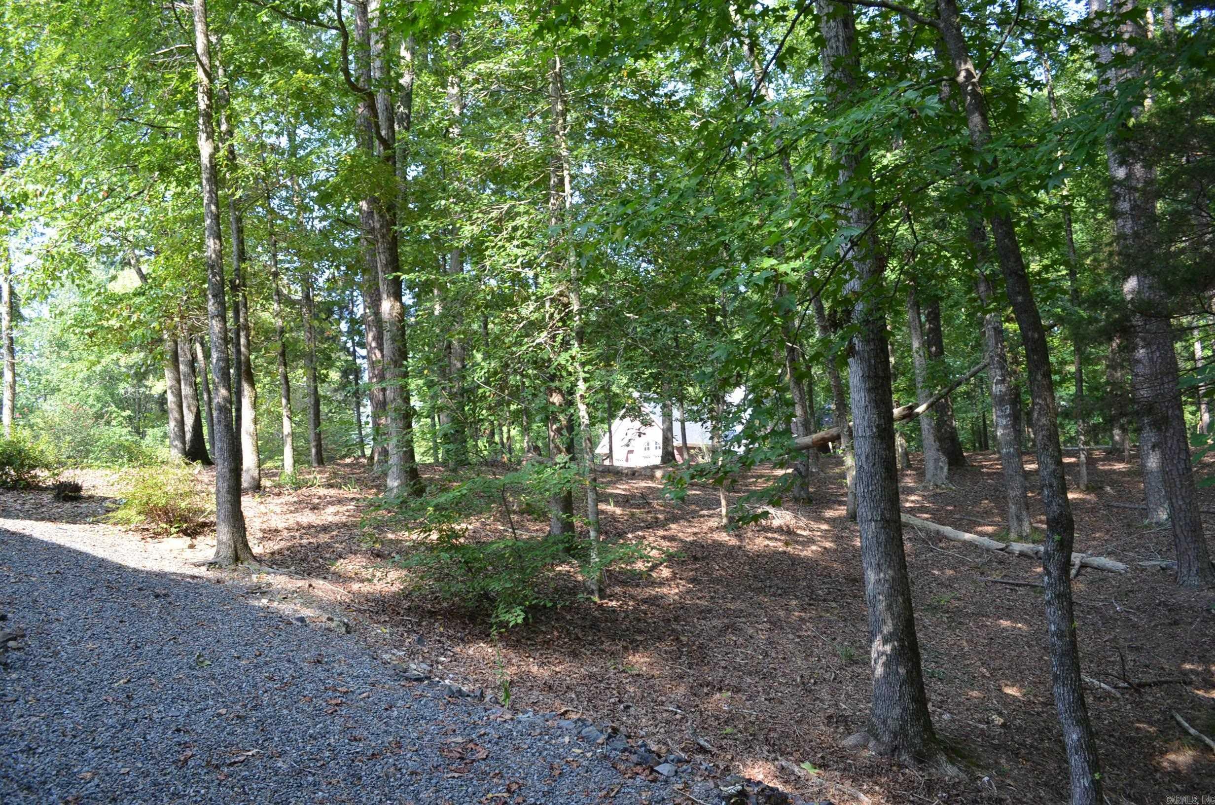 1 Sacedon cir  Hot Springs Village, AR