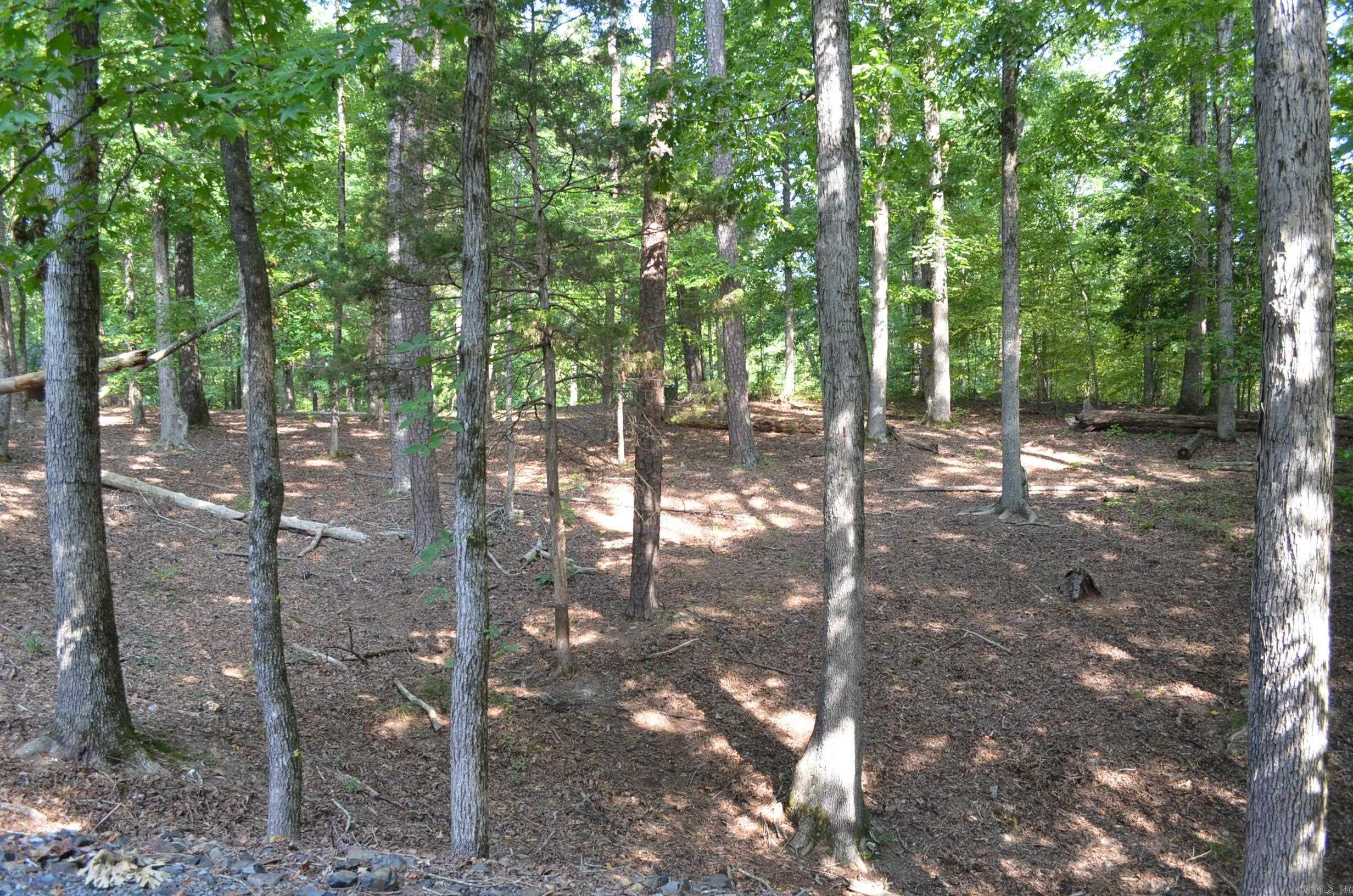 1 Sacedon cir  Hot Springs Village, AR