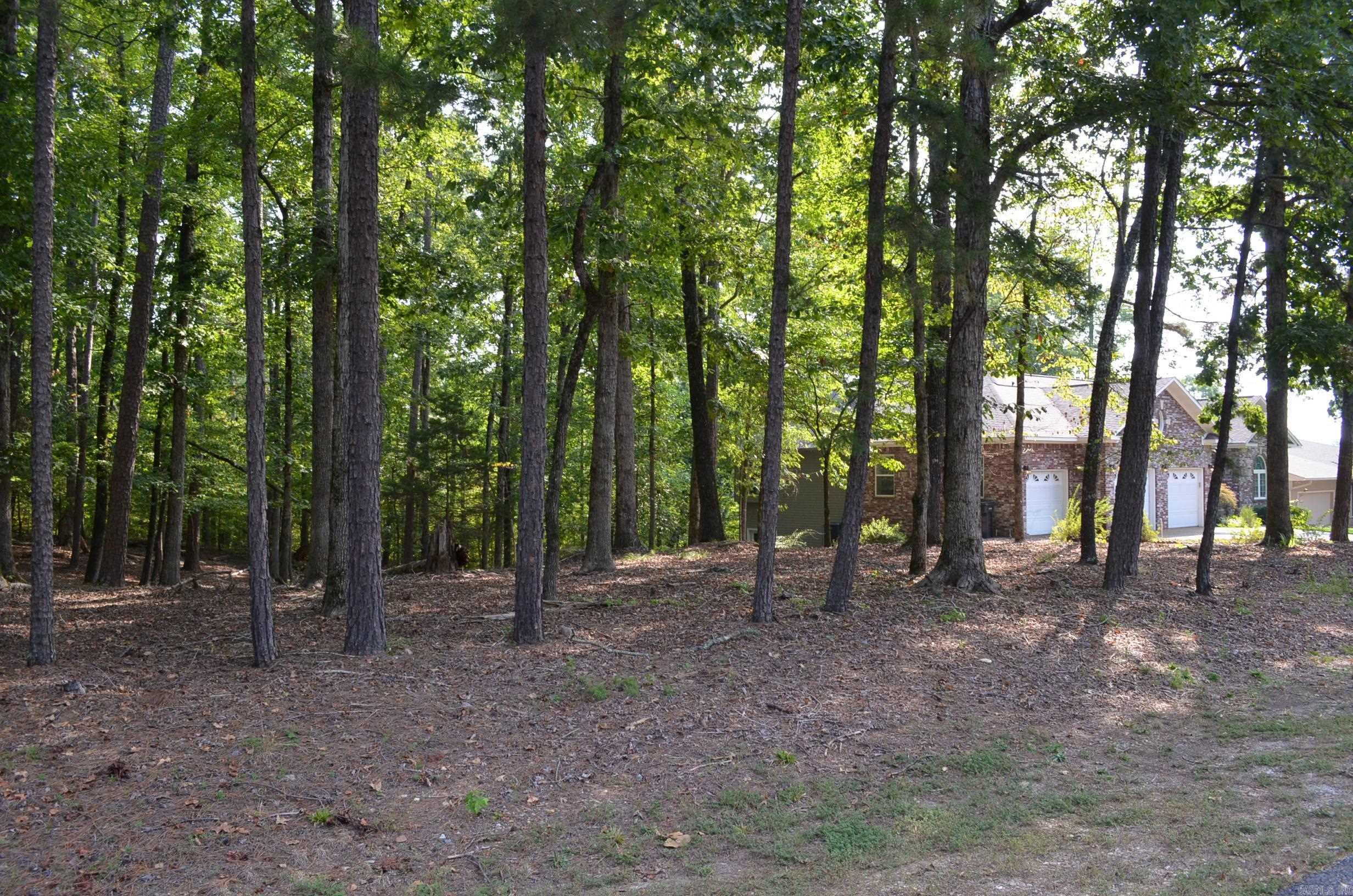 1 Sacedon cir  Hot Springs Village, AR