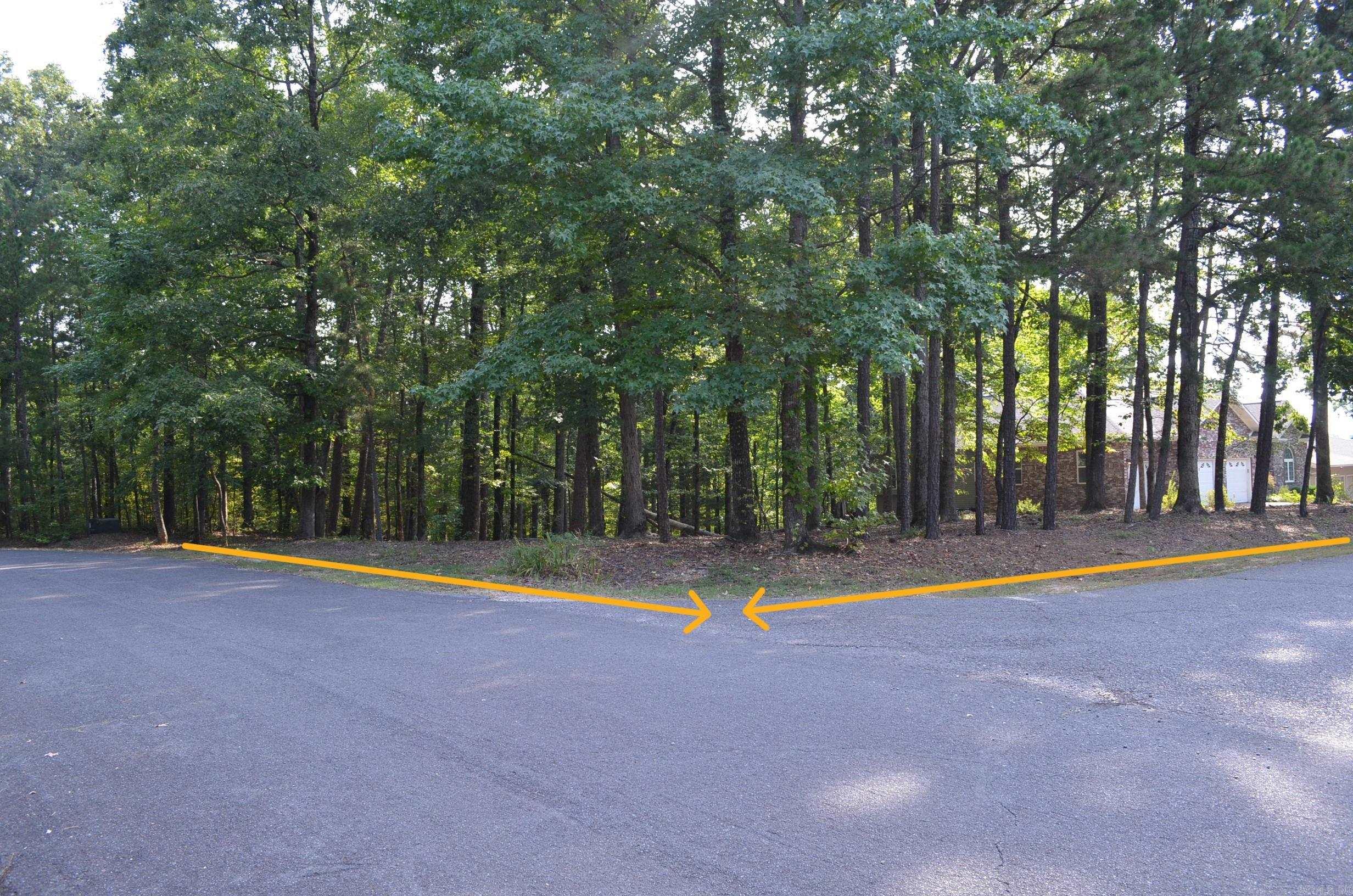 1 Sacedon cir  Hot Springs Village, AR