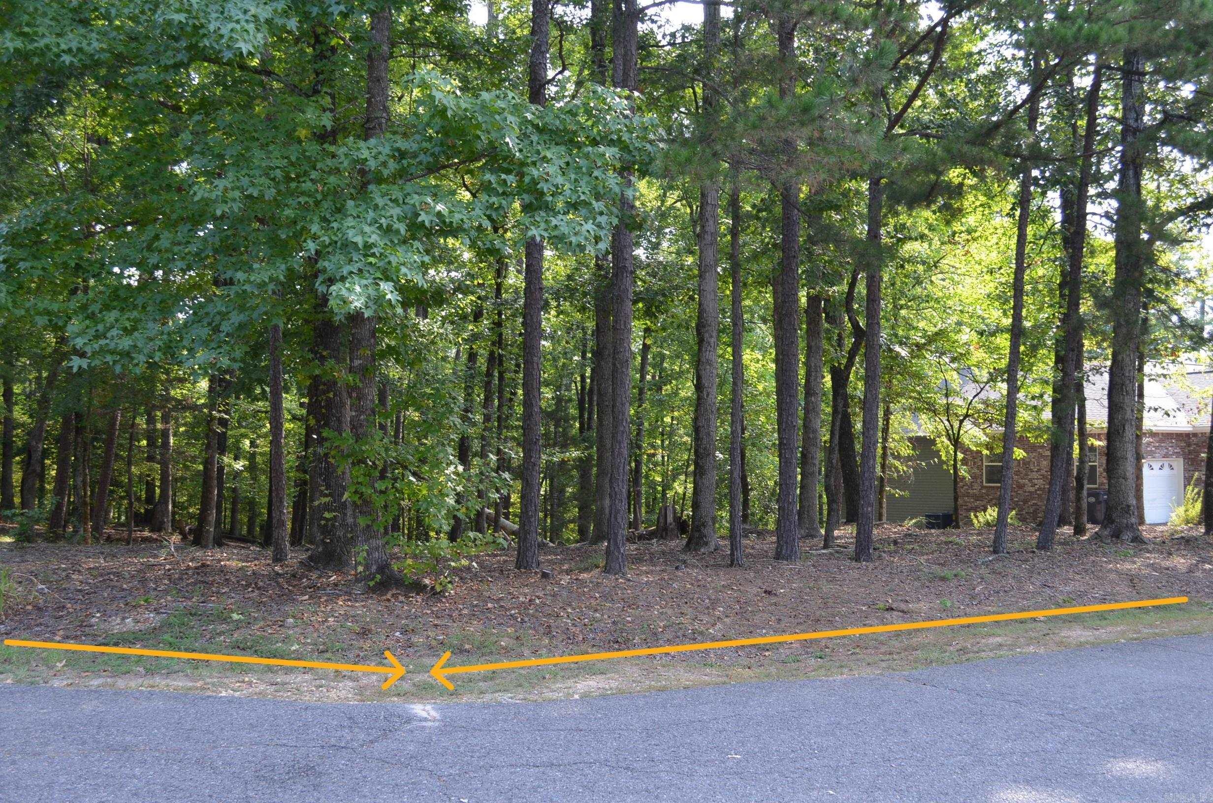 1 Sacedon cir  Hot Springs Village, AR