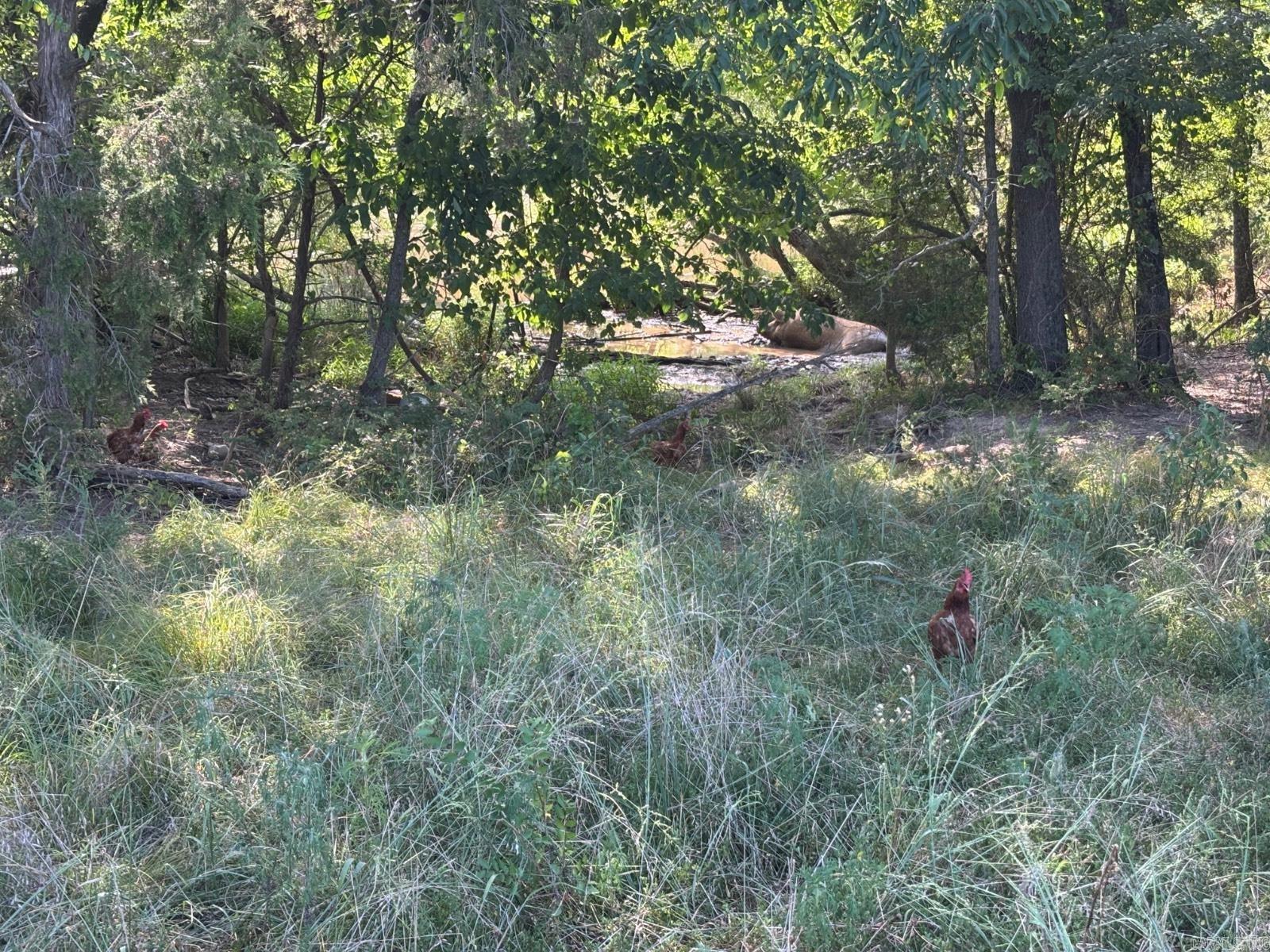 183 Lawrence 352  Saffell, AR