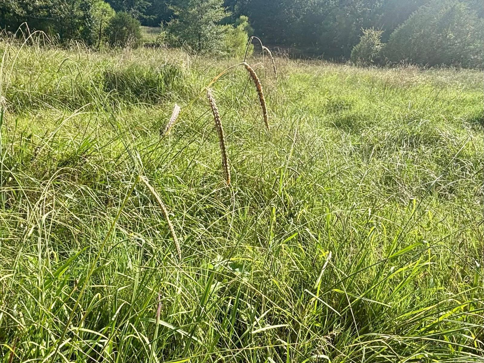 183 Lawrence 352  Saffell, AR