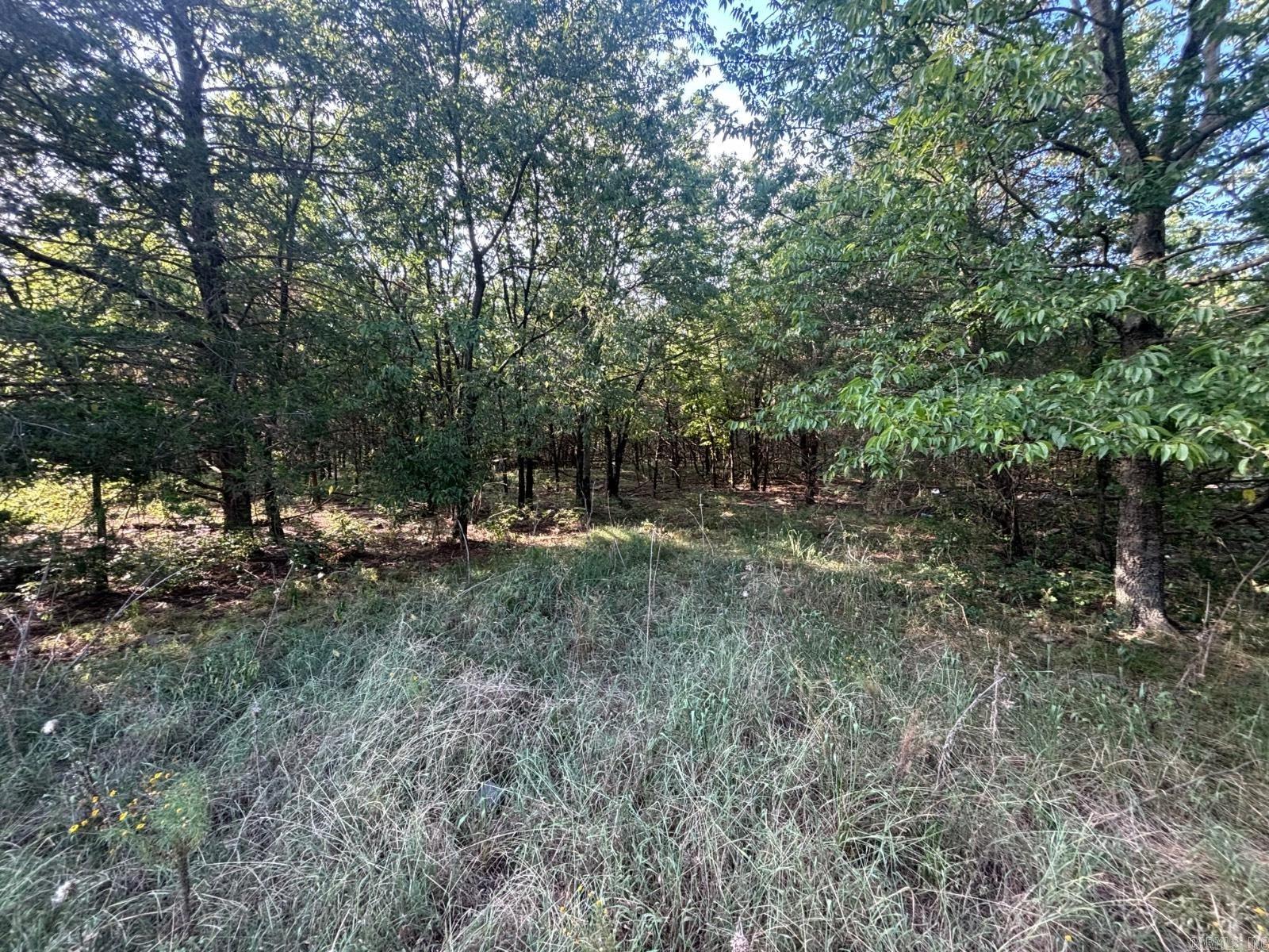 183 Lawrence 352  Saffell, AR