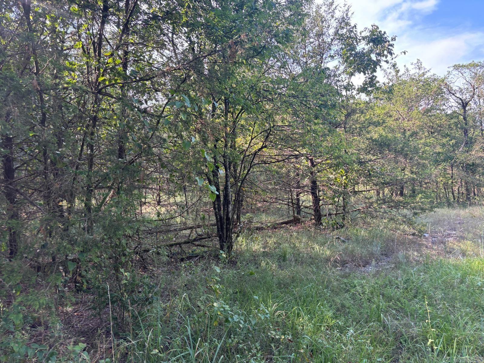 183 Lawrence 352  Saffell, AR