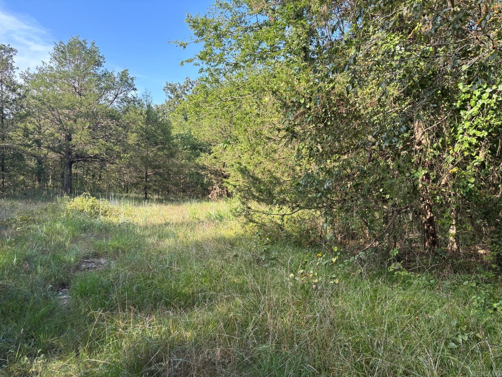 183 Lawrence 352  Saffell, AR