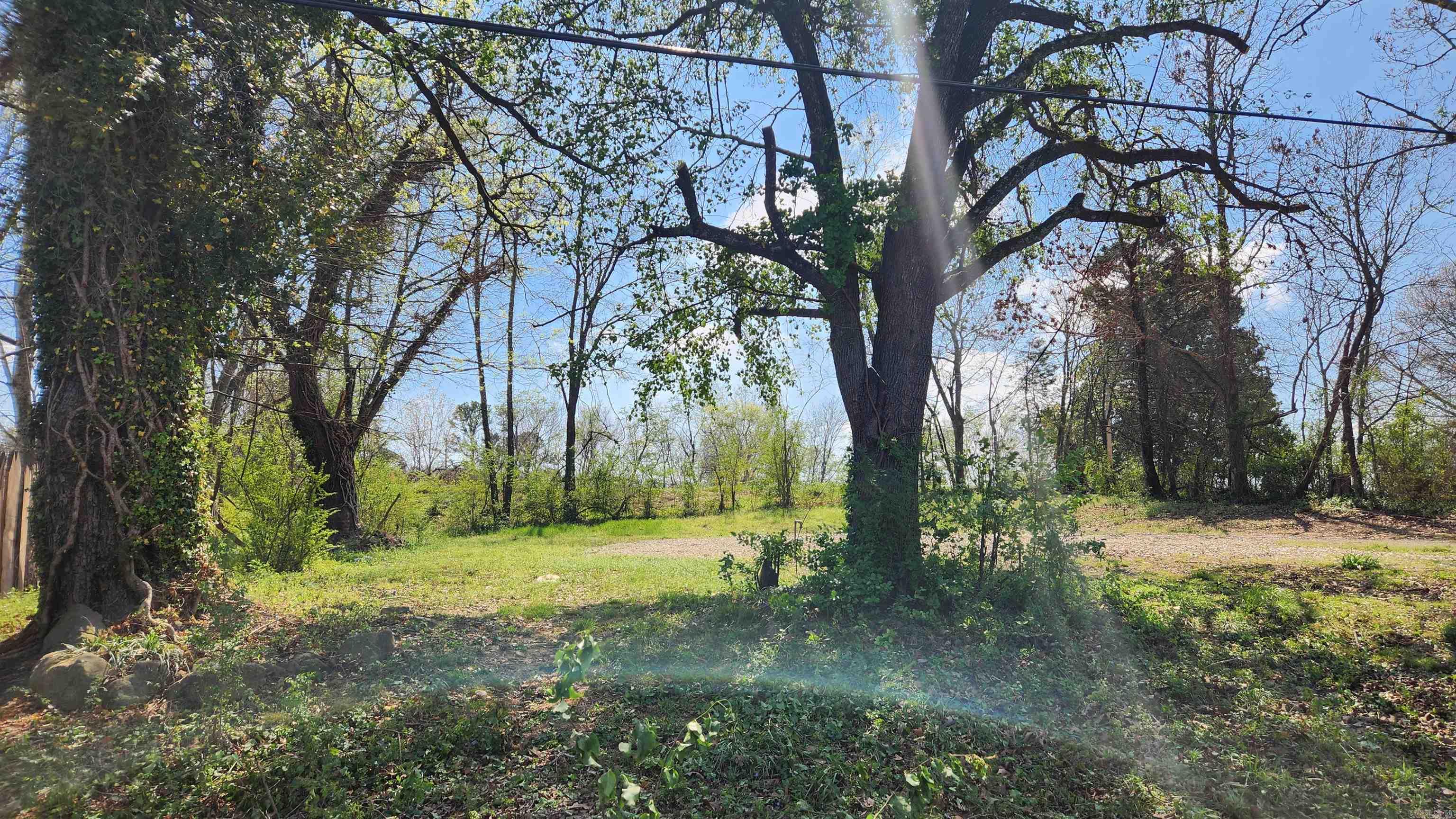 121 Watkins Lane  Mount Ida, AR