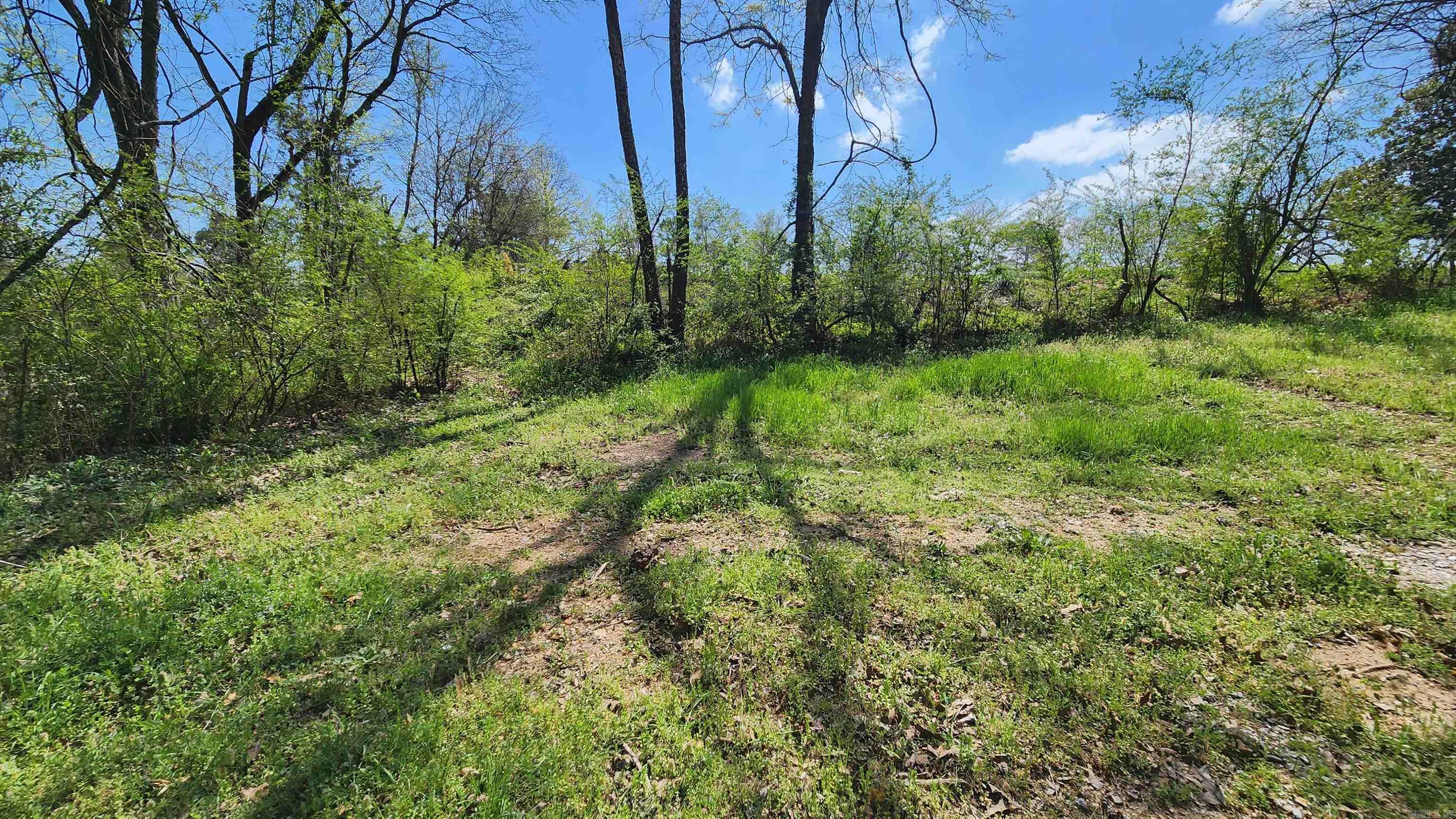 121 Watkins Lane  Mount Ida, AR