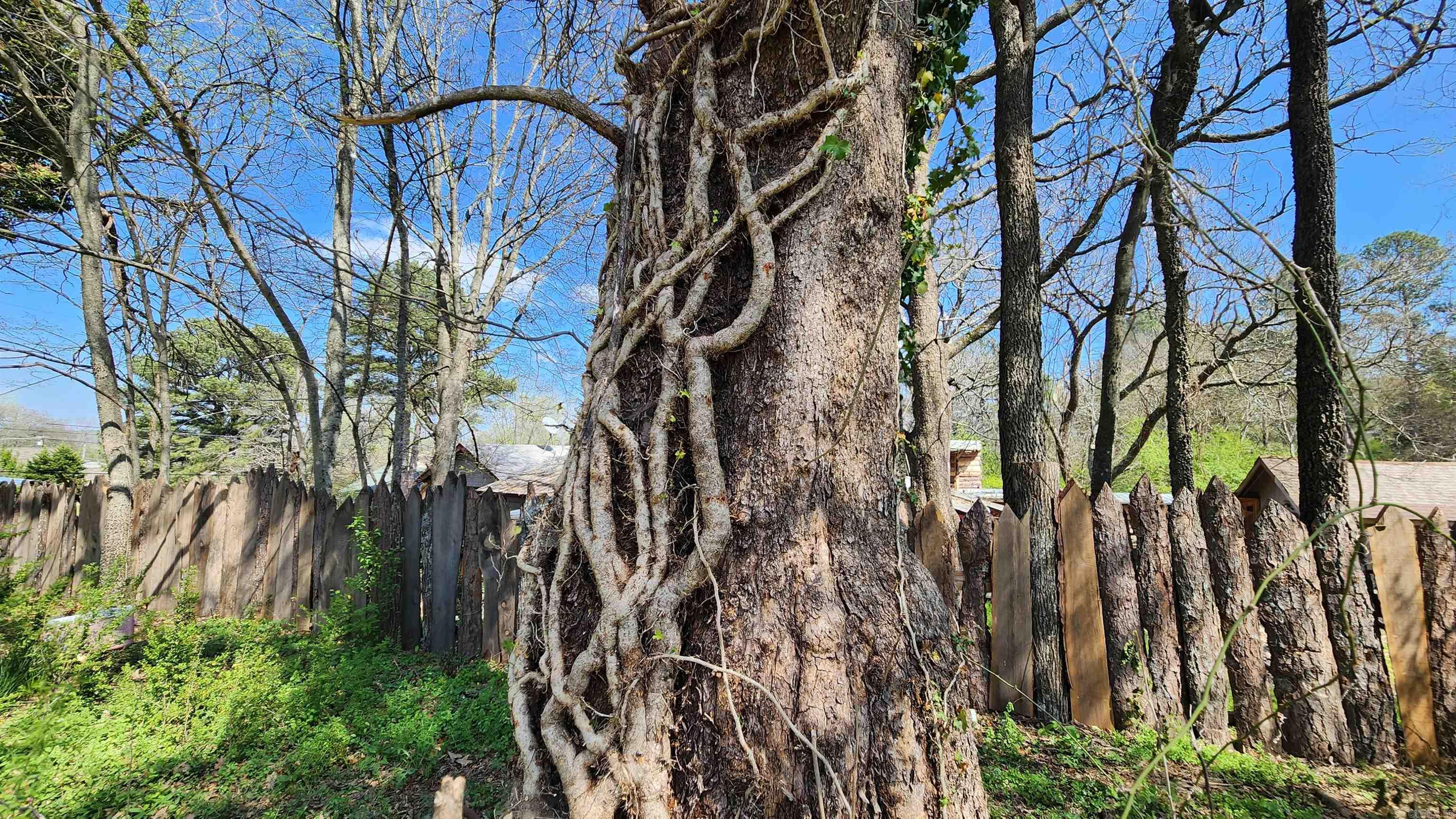 121 Watkins Lane  Mount Ida, AR