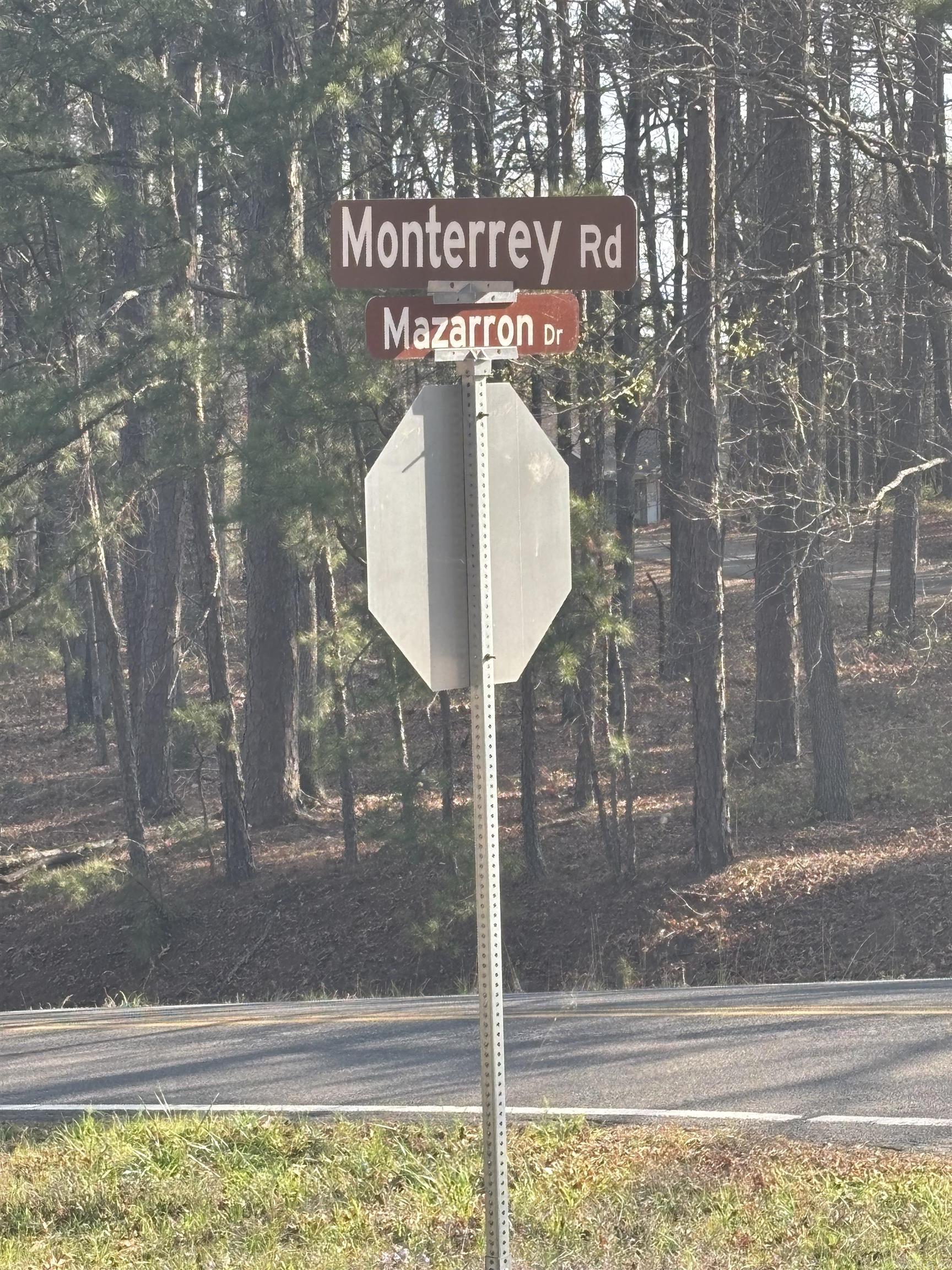 160 Mazarron  Hot Springs Village, AR