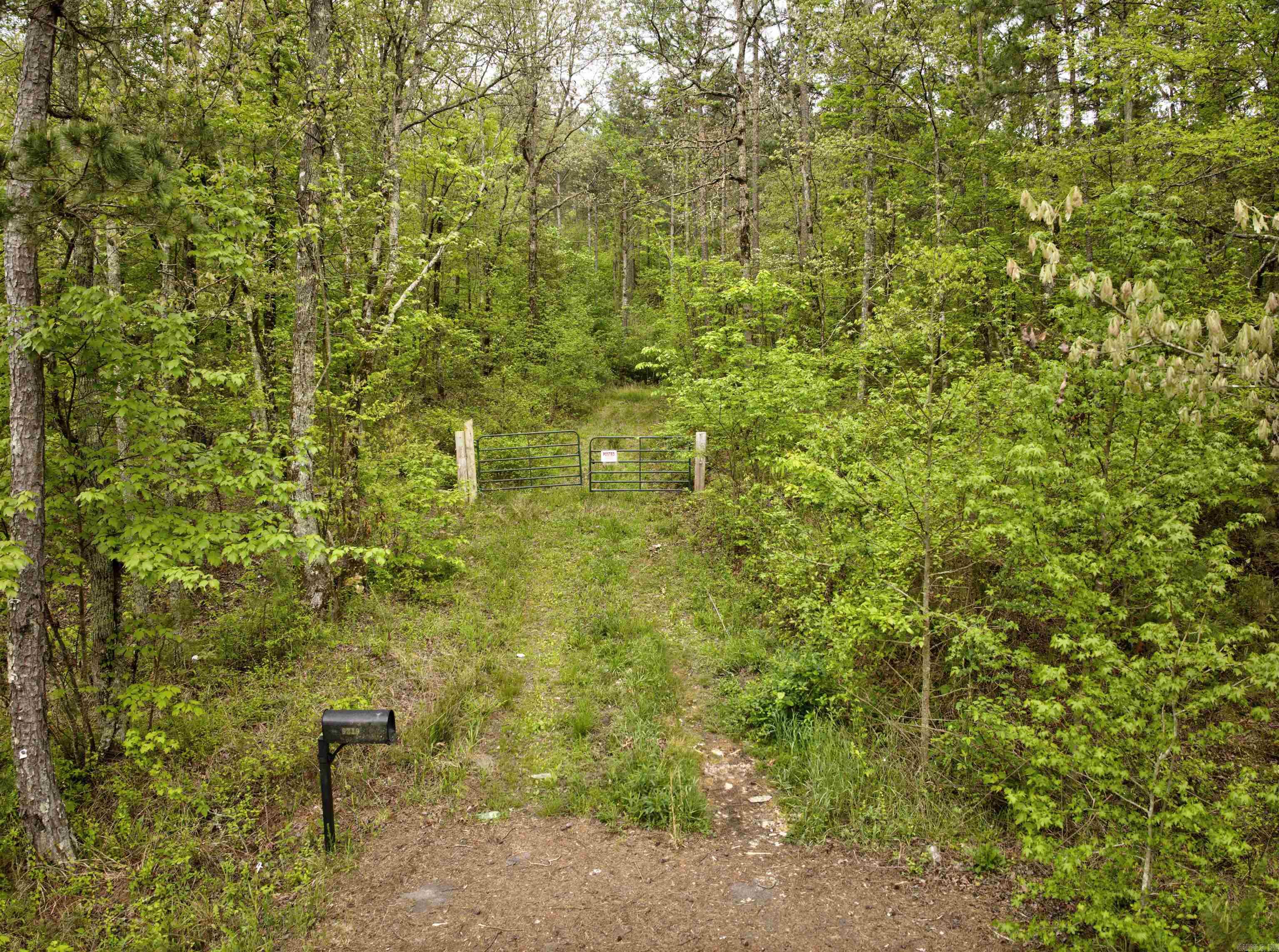 9319 Albert Pike  Royal, AR