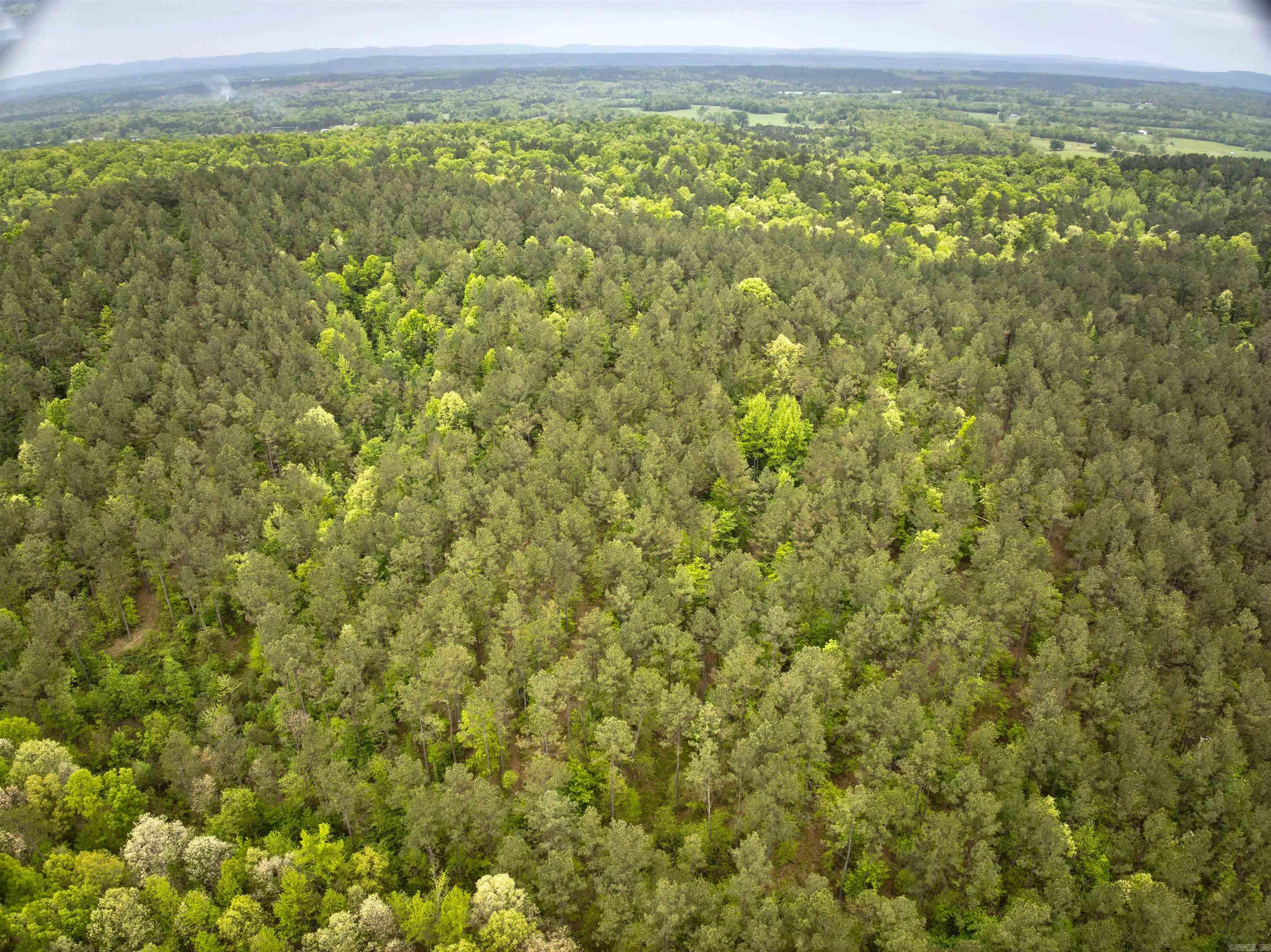 9319 Albert Pike  Royal, AR