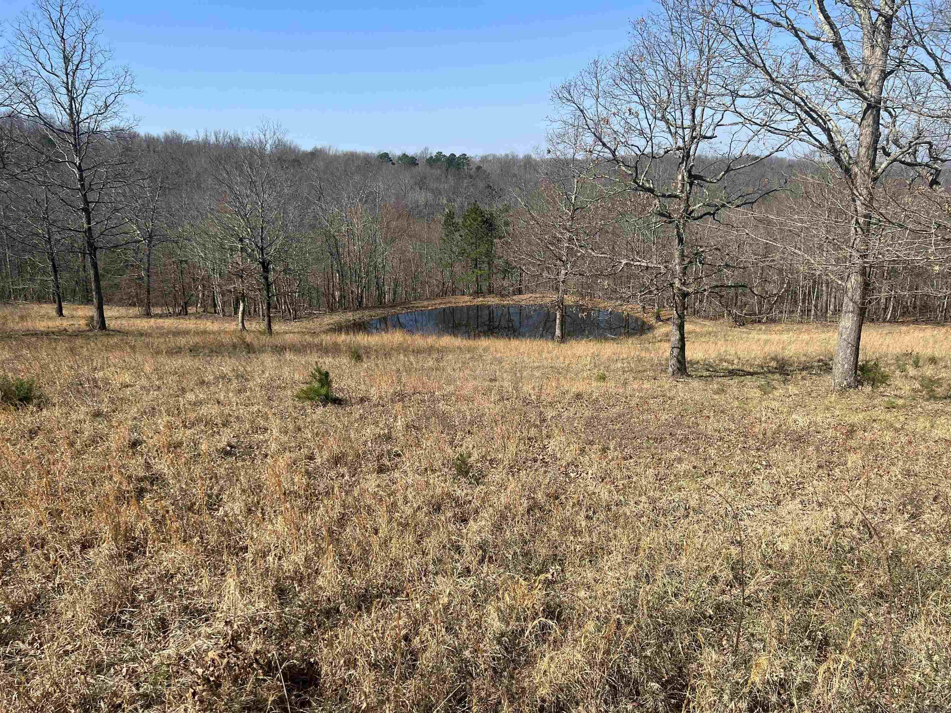 483 NC 8060  Jasper, AR