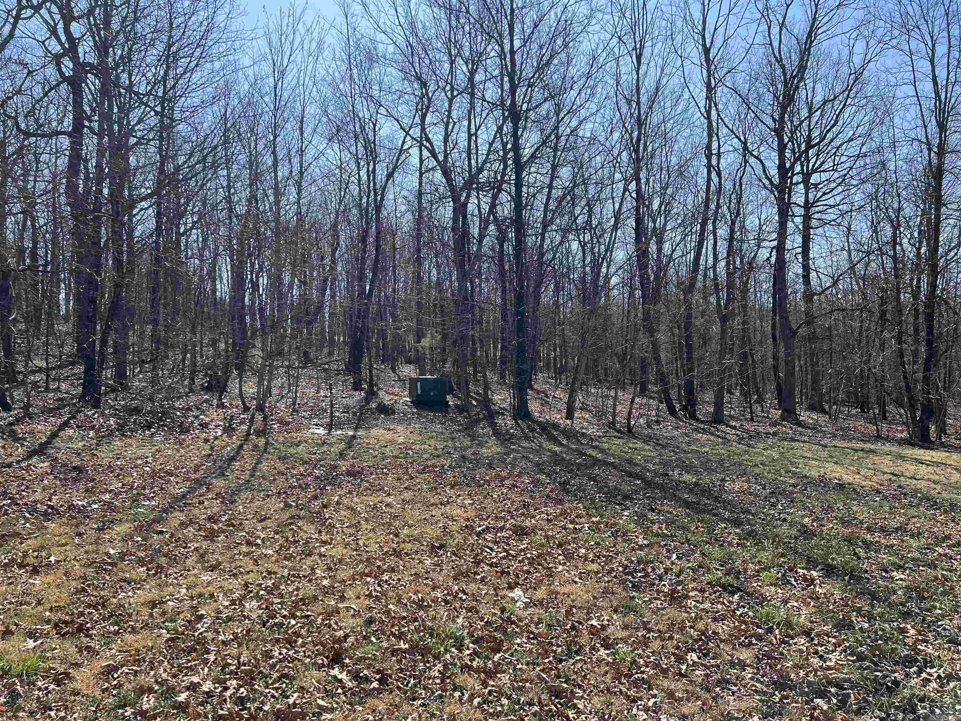 483 NC 8060  Jasper, AR