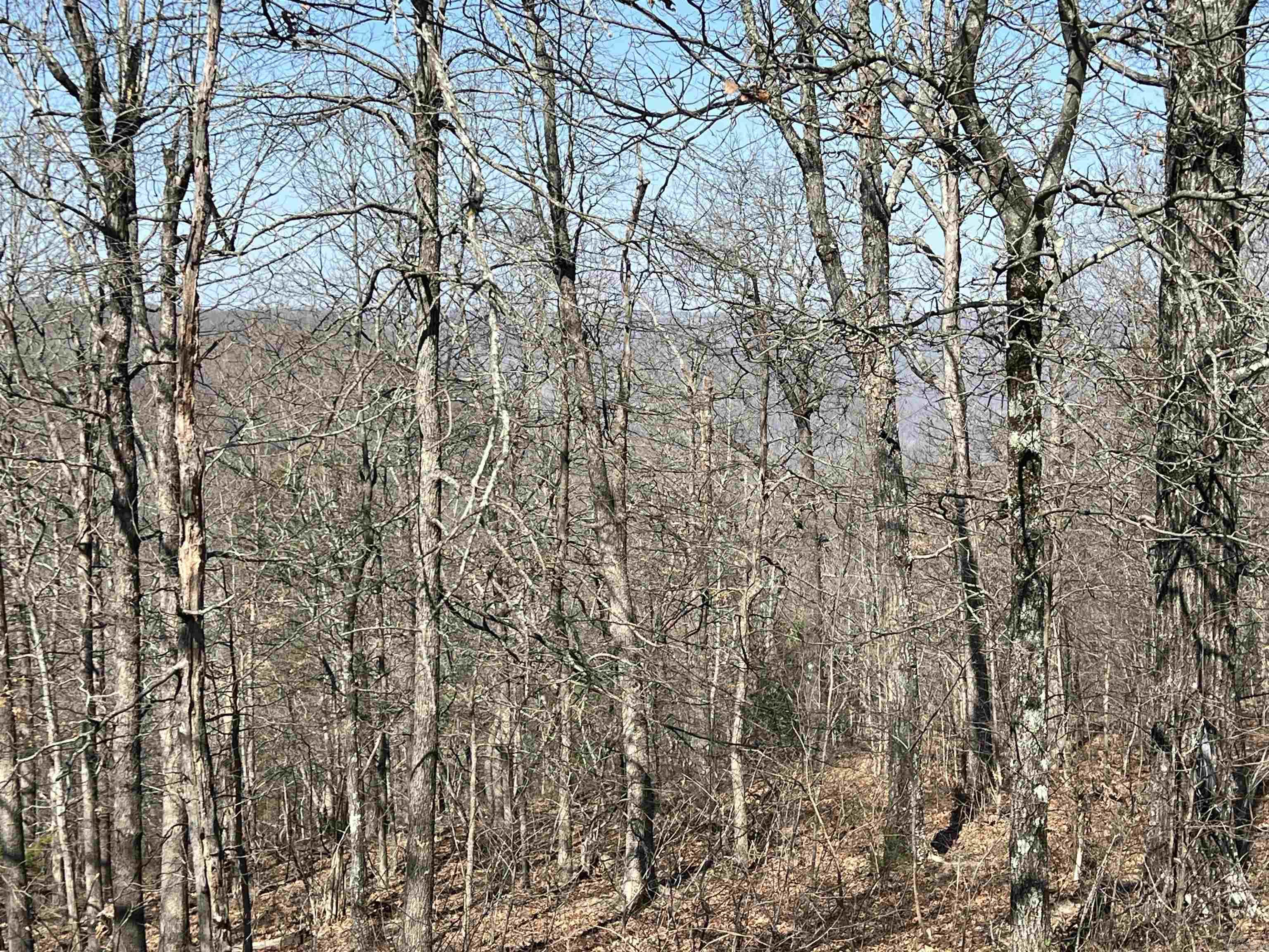 483 NC 8060  Jasper, AR