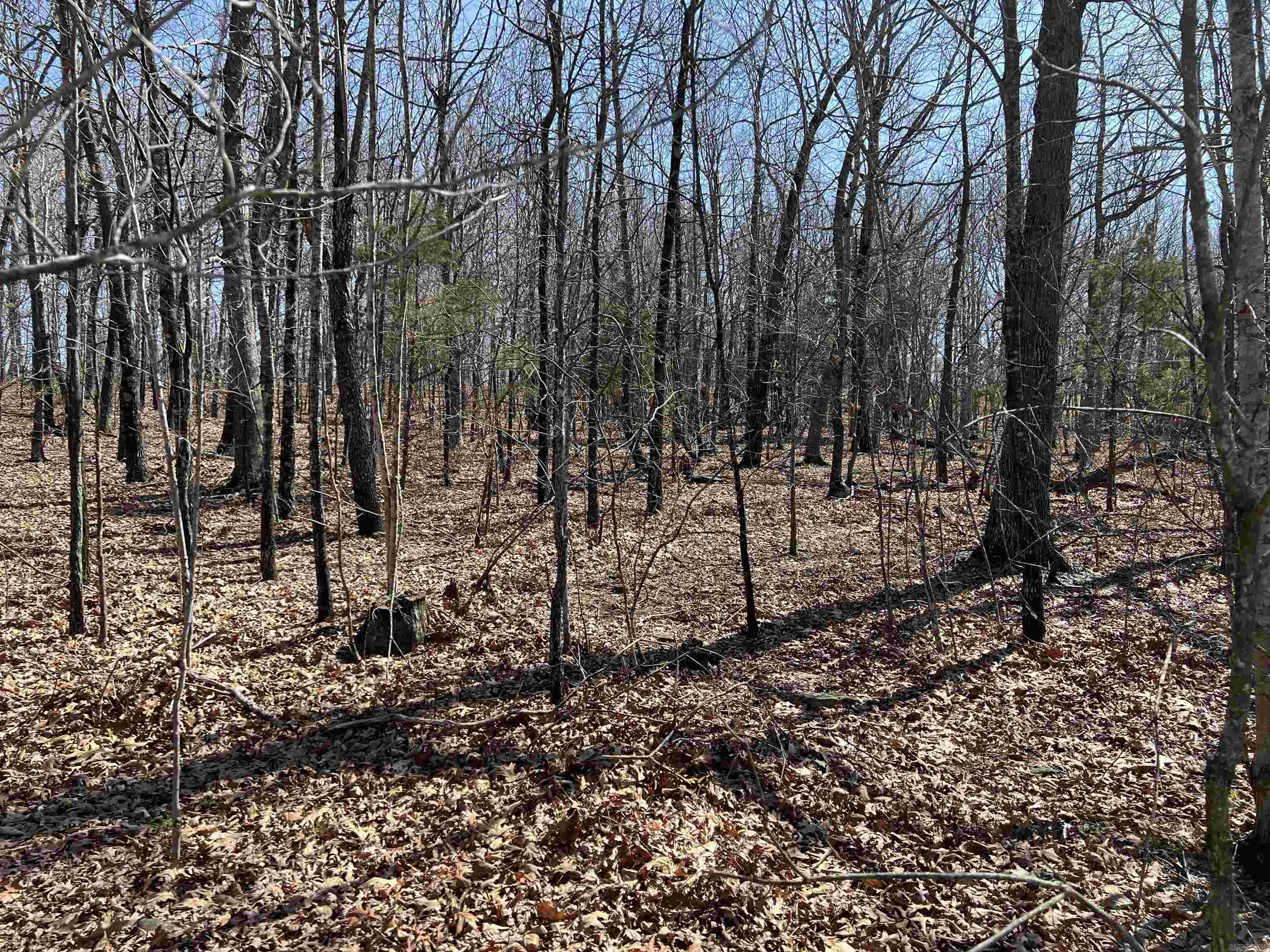 483 NC 8060  Jasper, AR