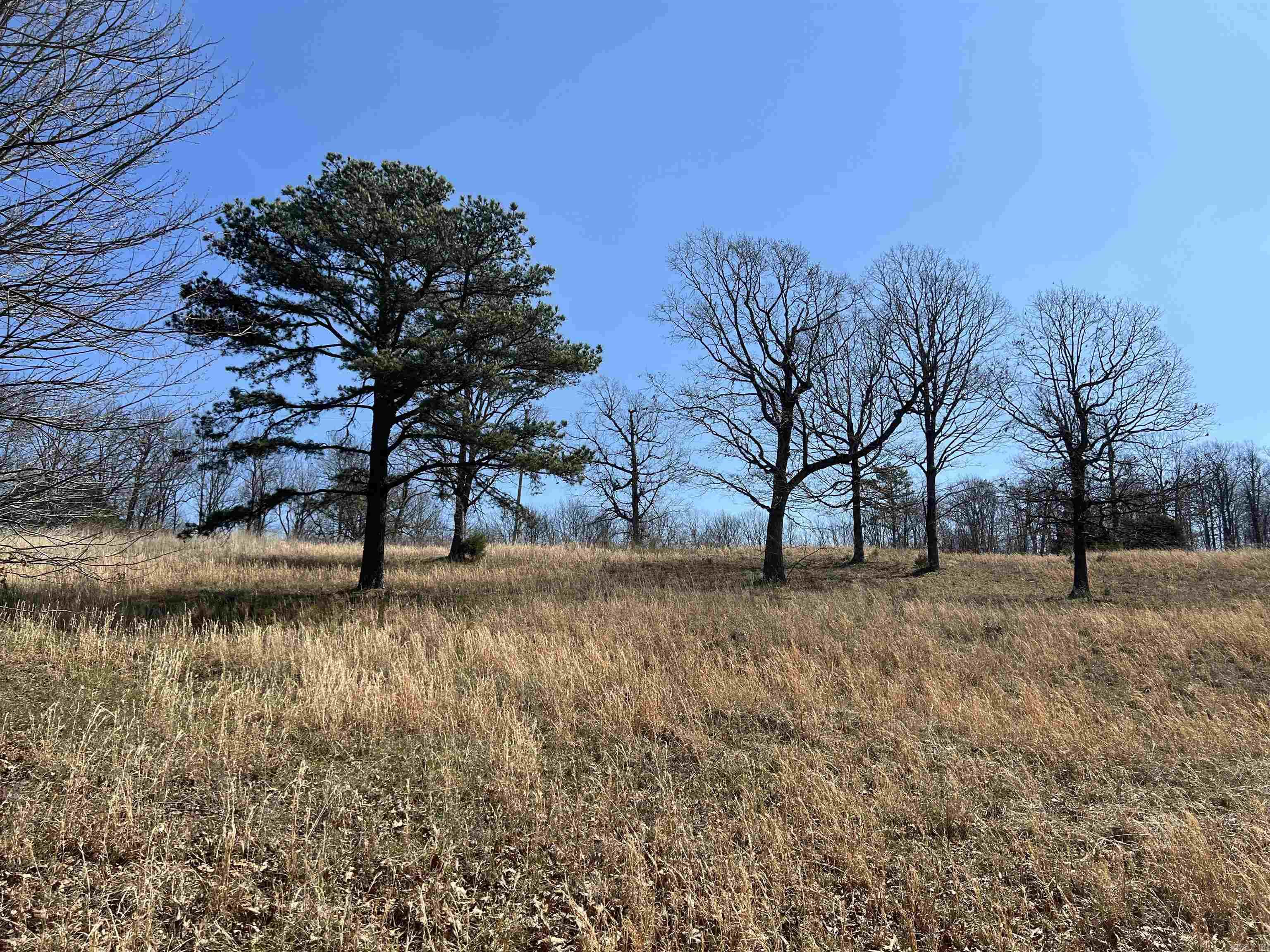 483 NC 8060  Jasper, AR