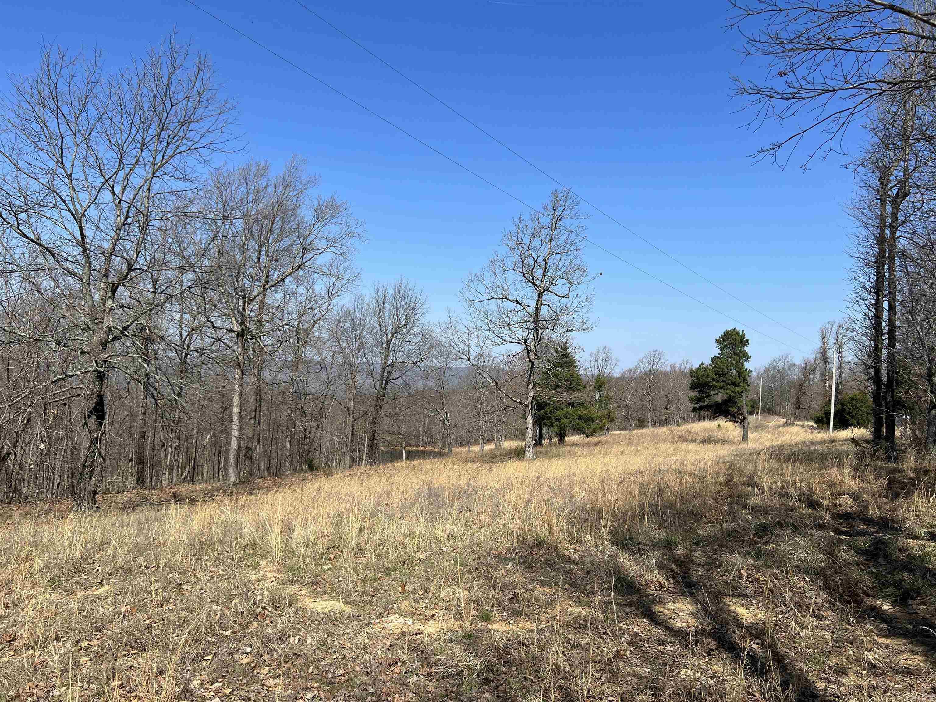 483 NC 8060  Jasper, AR