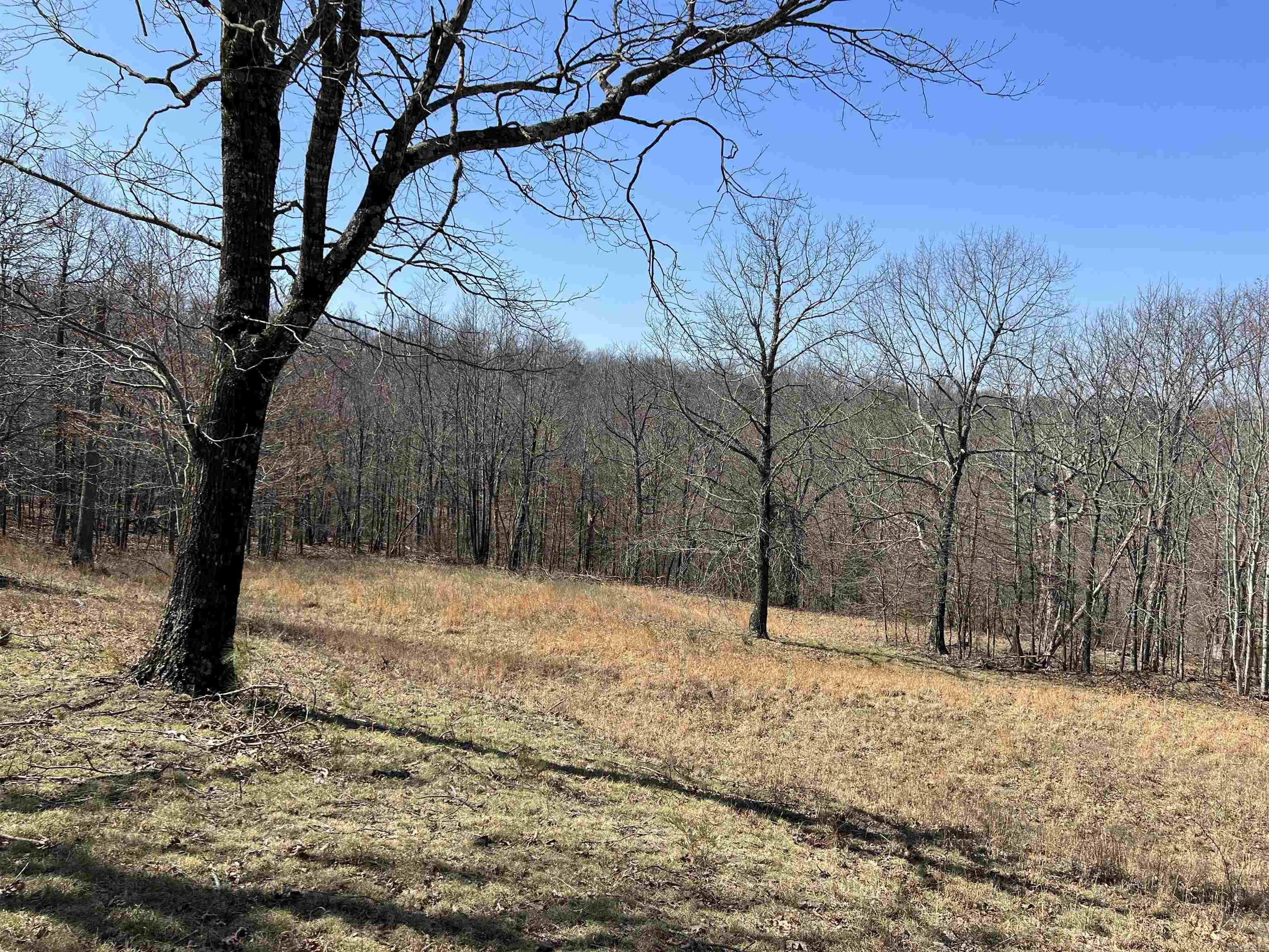 483 NC 8060  Jasper, AR