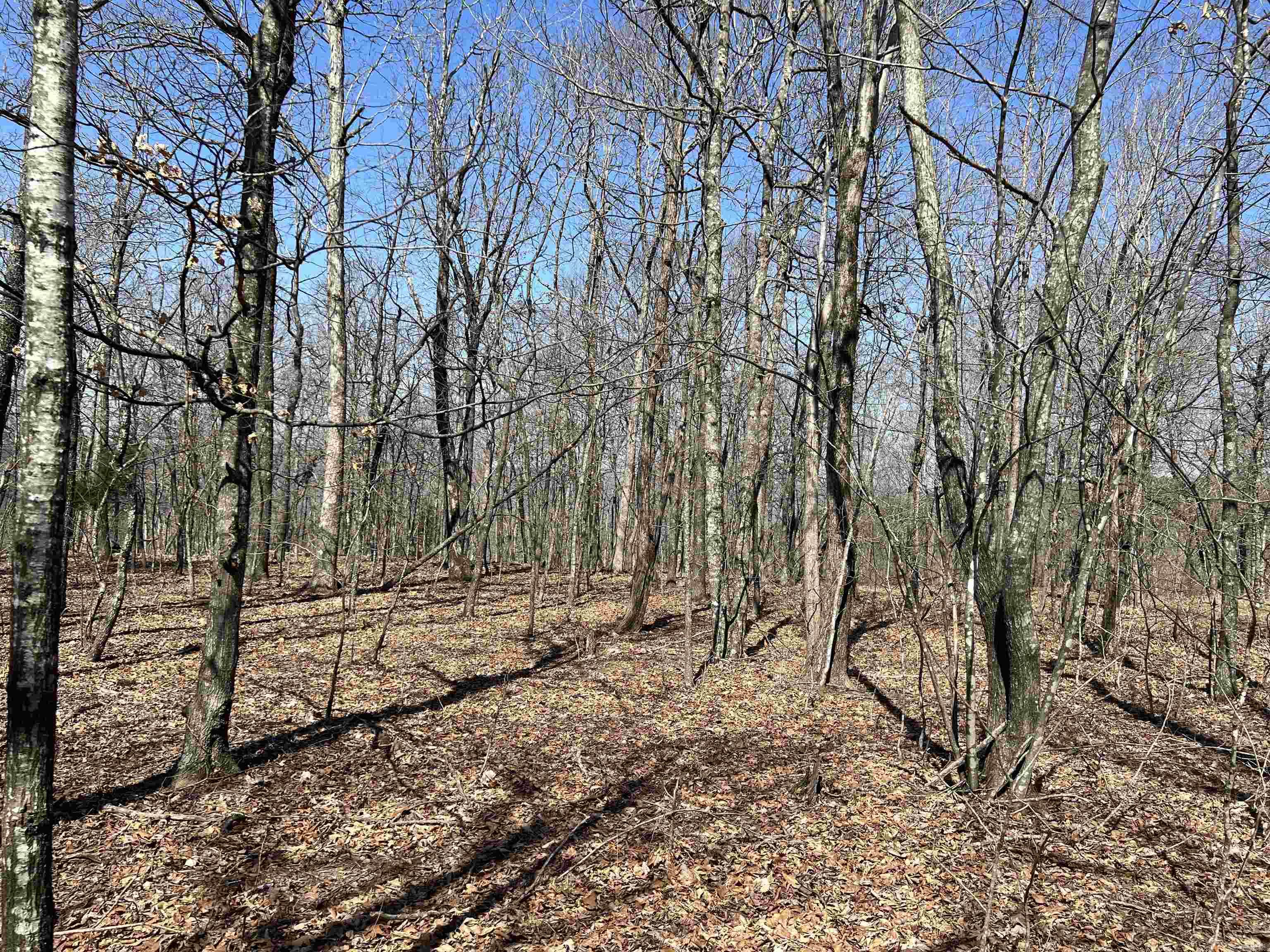 483 NC 8060  Jasper, AR