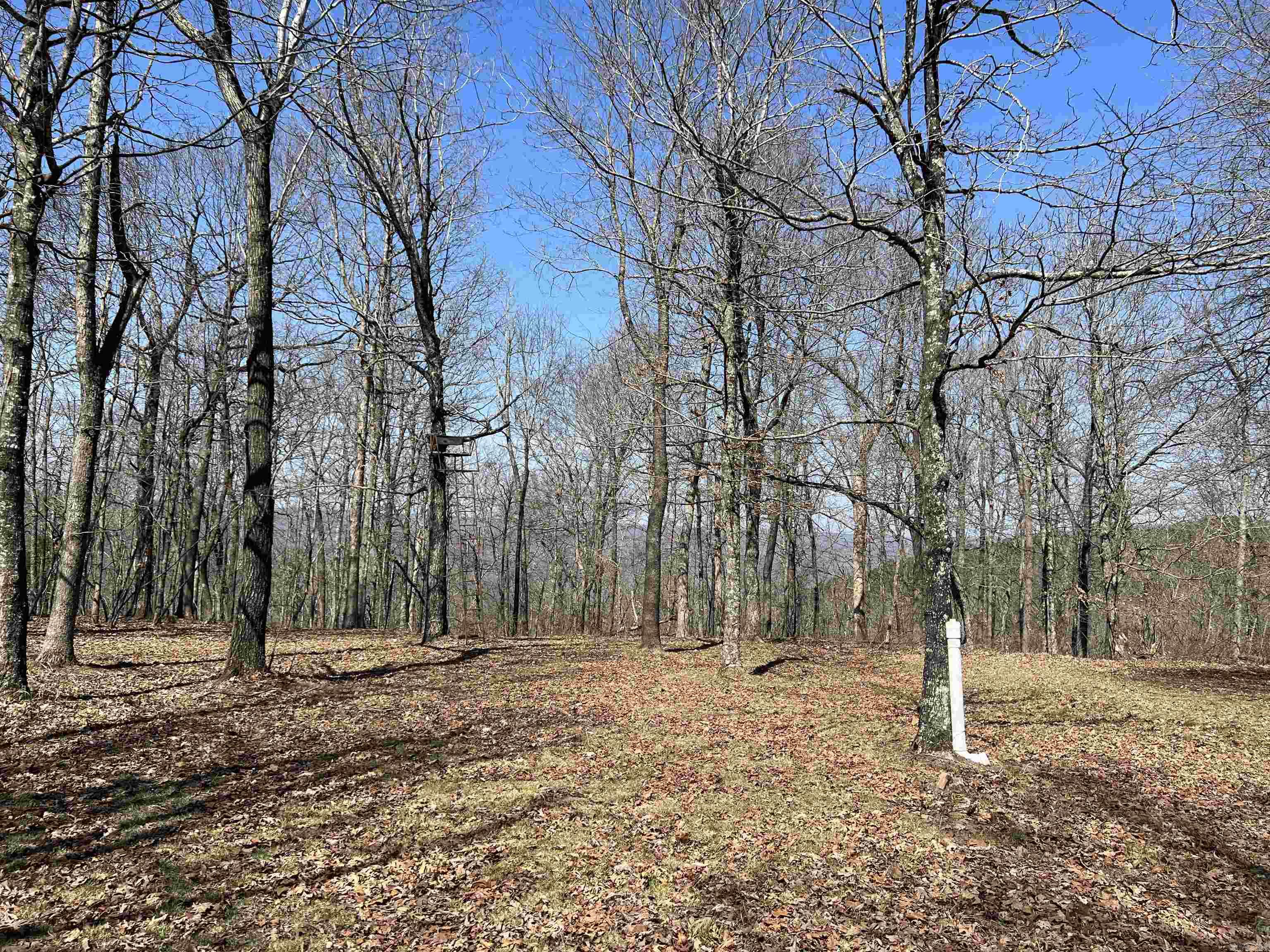 483 NC 8060  Jasper, AR