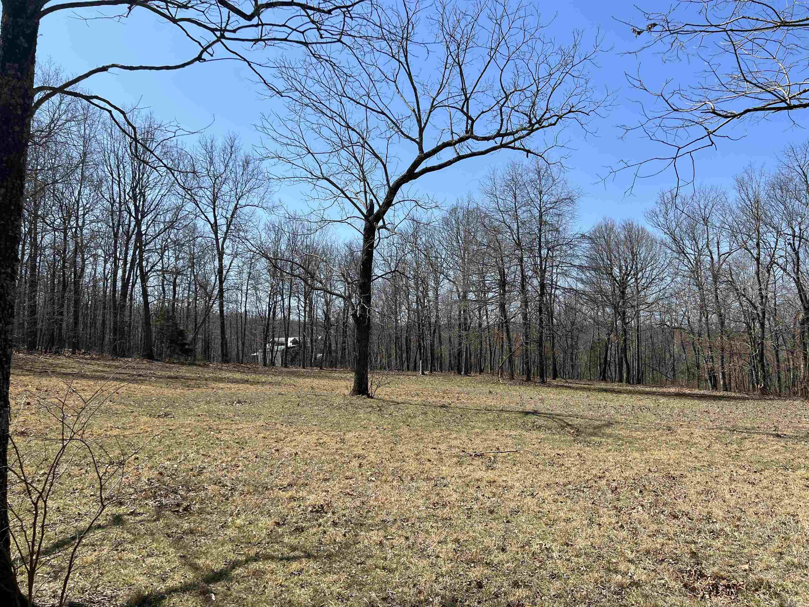 483 NC 8060  Jasper, AR