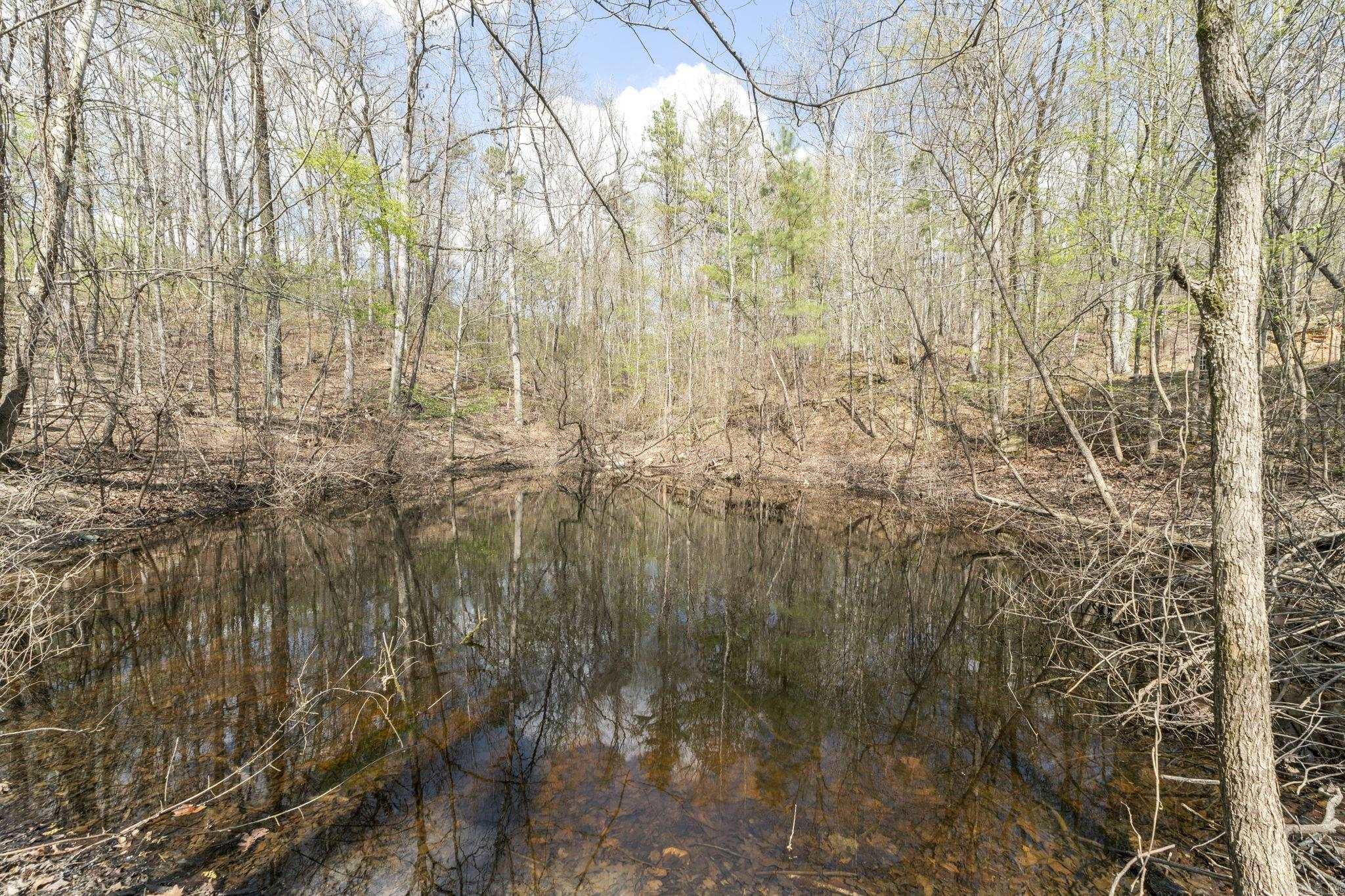 1909 Pleasant Run  Malvern, AR
