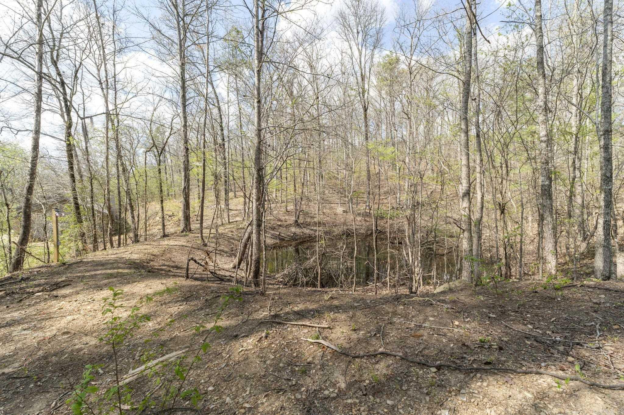 1909 Pleasant Run  Malvern, AR