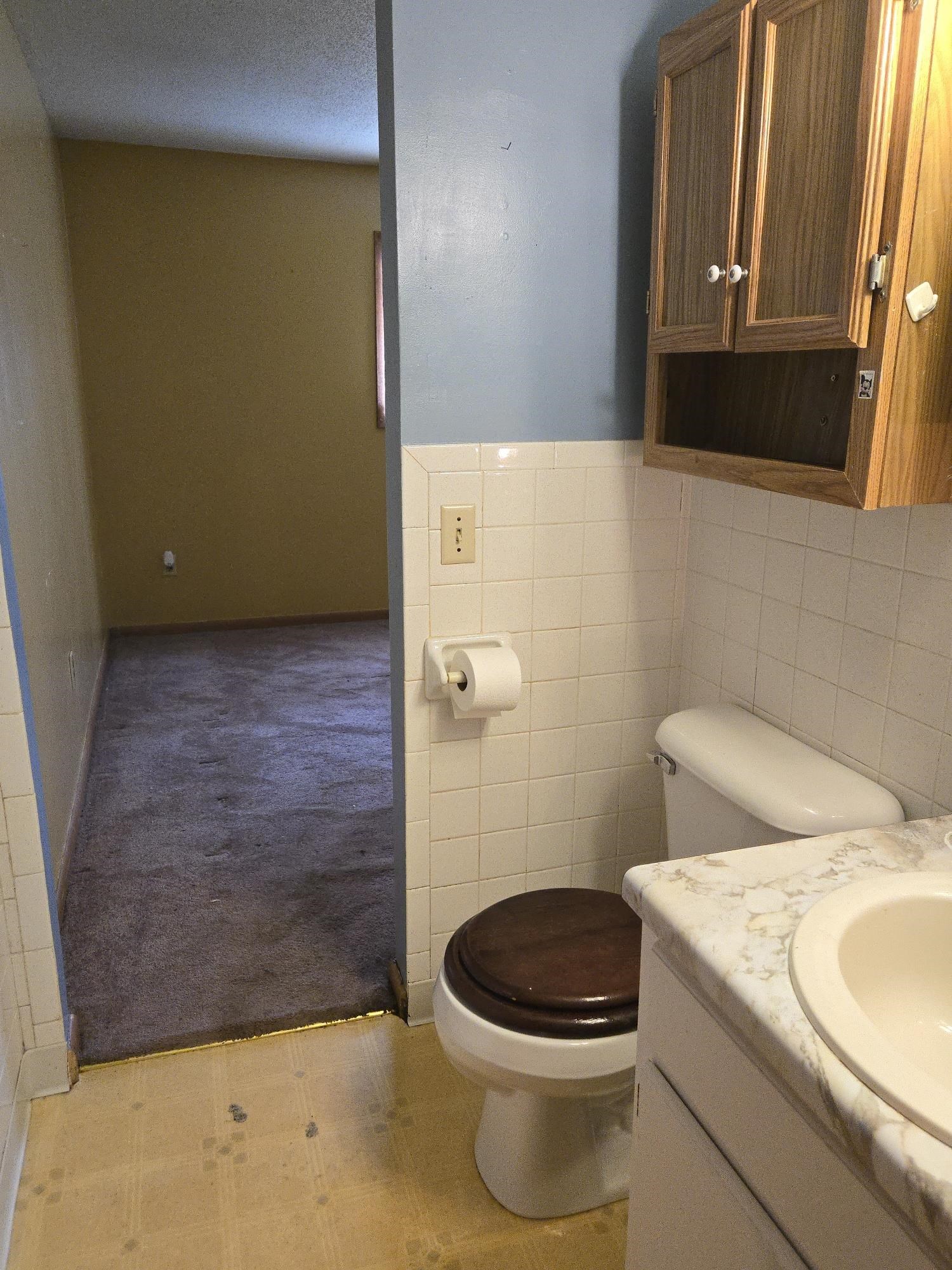 140 Bald Eagle  Williford, AR