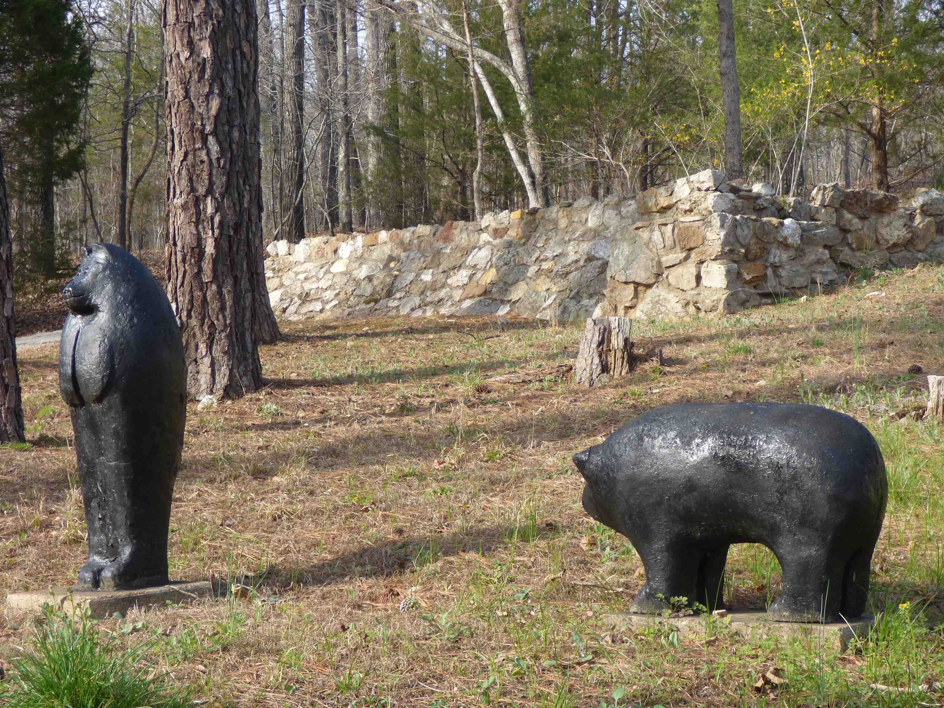 140 Bald Eagle  Williford, AR