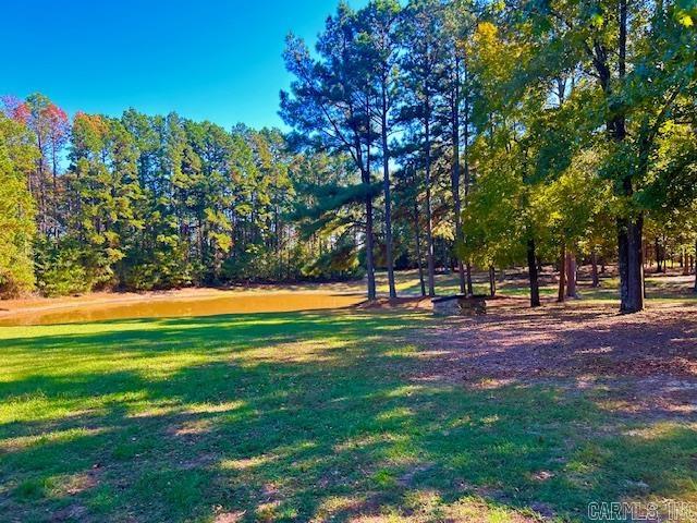 378 Cemetery  Mountain View, AR