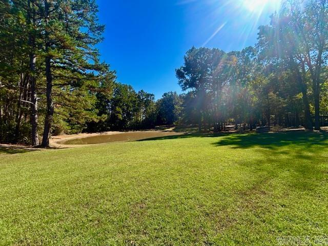 378 Cemetery  Mountain View, AR