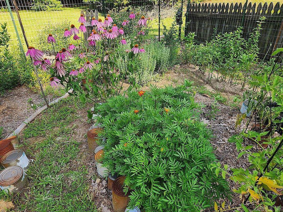 378 Cemetery  Mountain View, AR