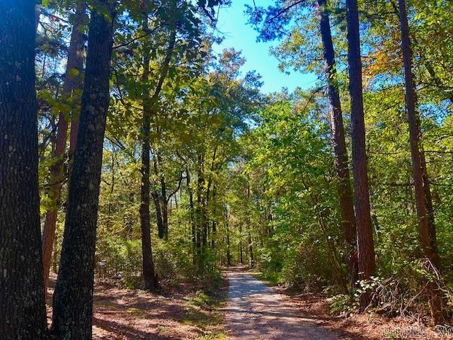 378 Cemetery  Mountain View, AR