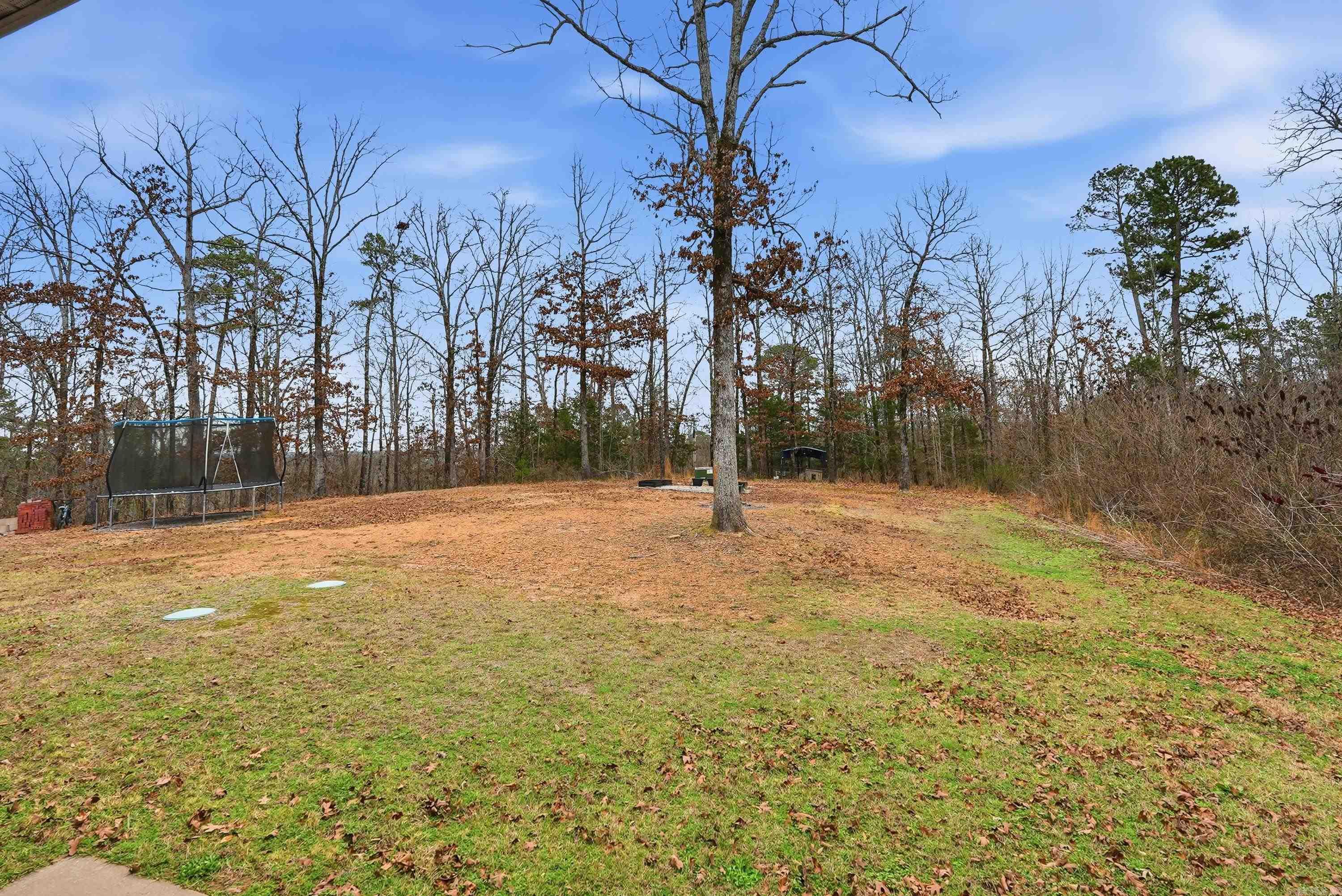 55 Bonita Drive  Perryville, AR