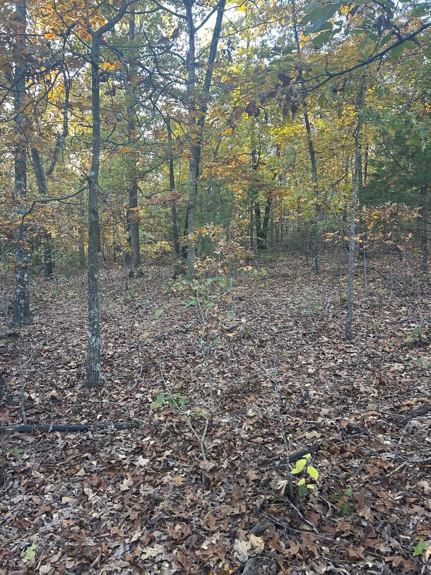 TBD CR 146  Henderson, AR