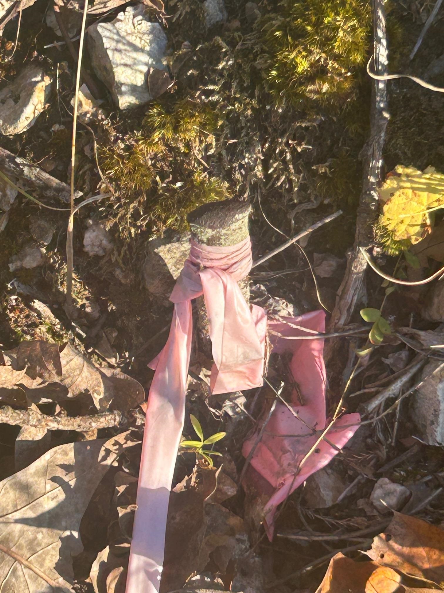 TBD CR 146  Henderson, AR