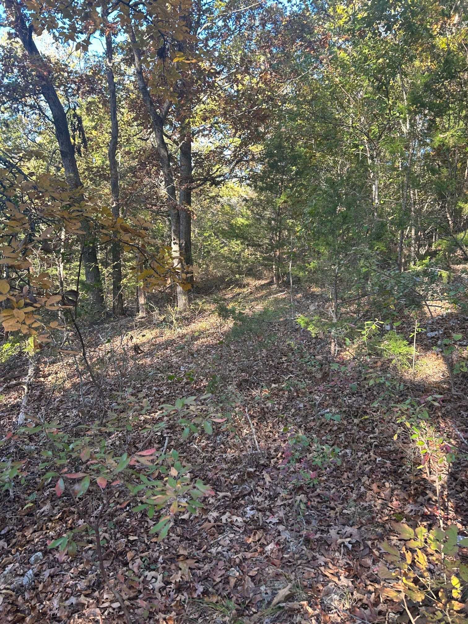 TBD CR 146  Henderson, AR