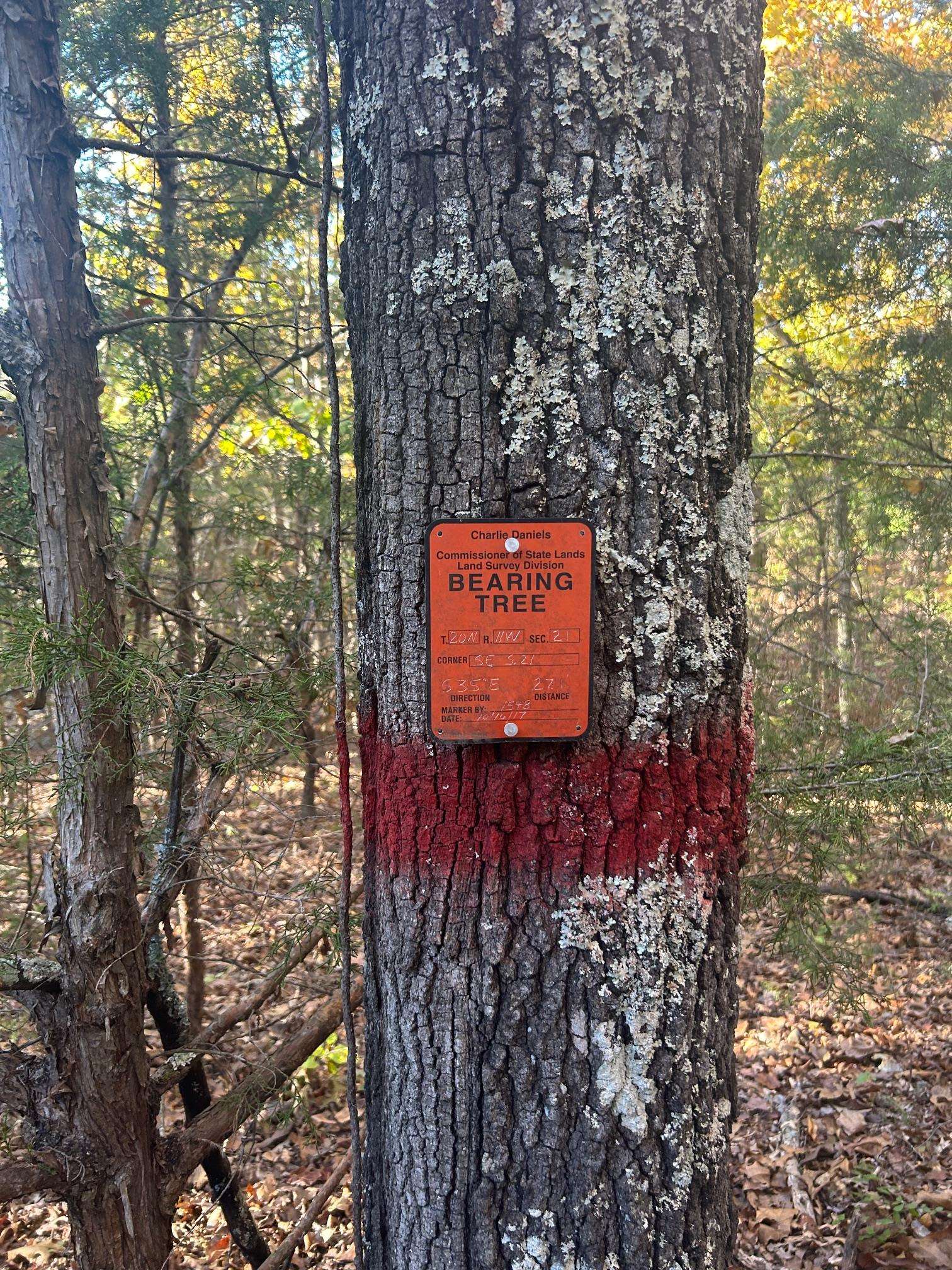 TBD CR 146  Henderson, AR