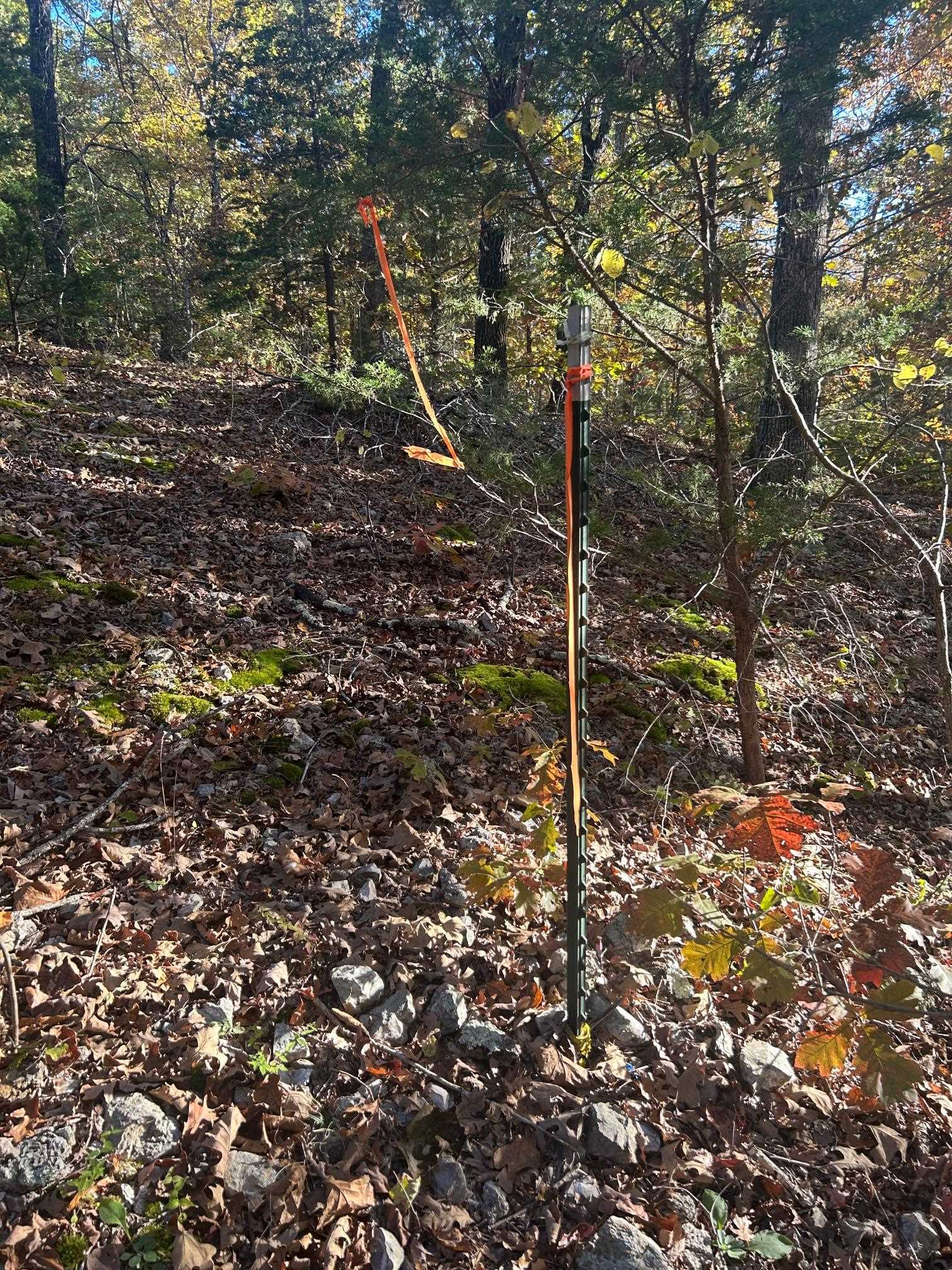 TBD CR 146  Henderson, AR