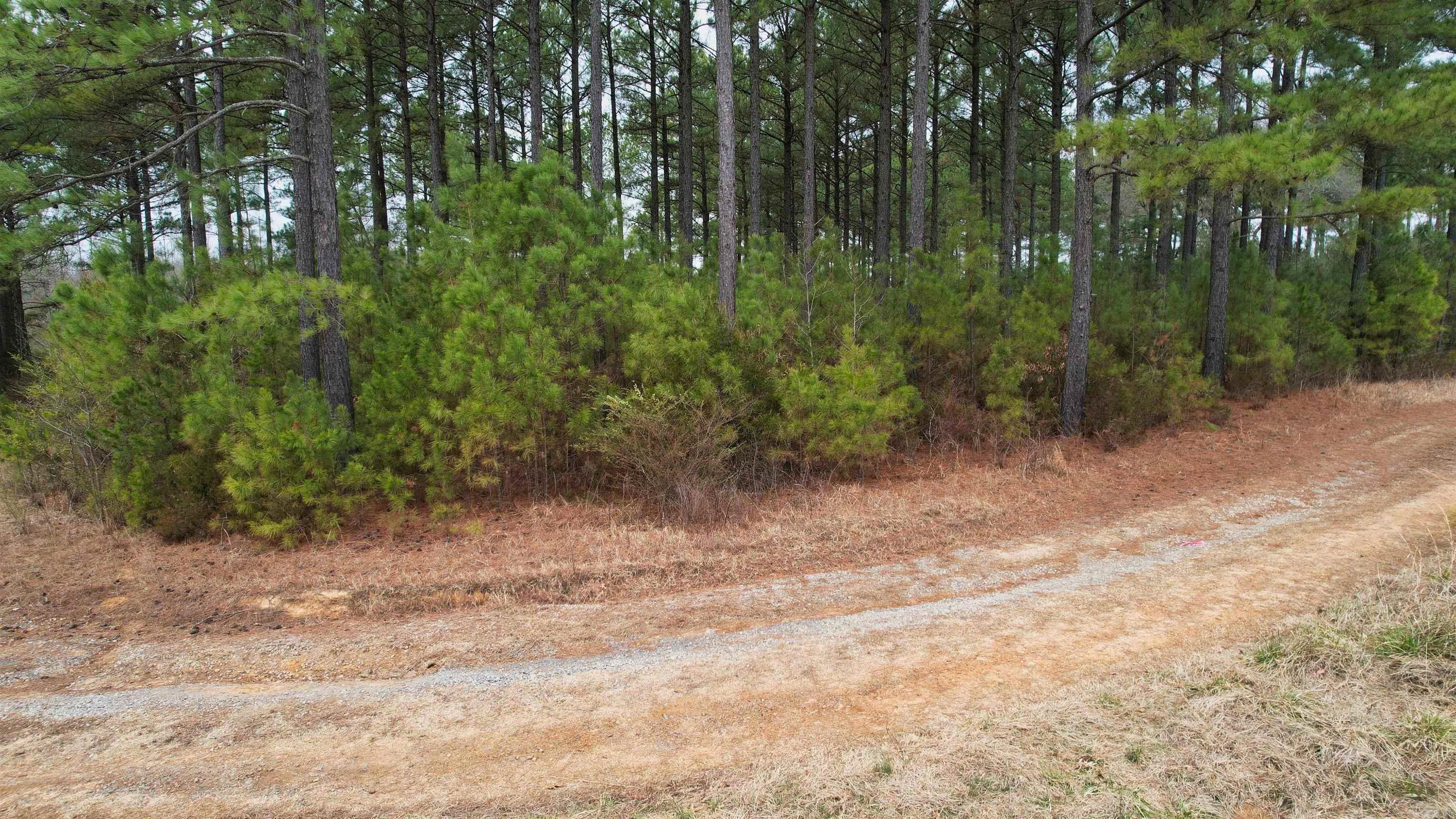 428 Pumpkin Center  Quitman, AR