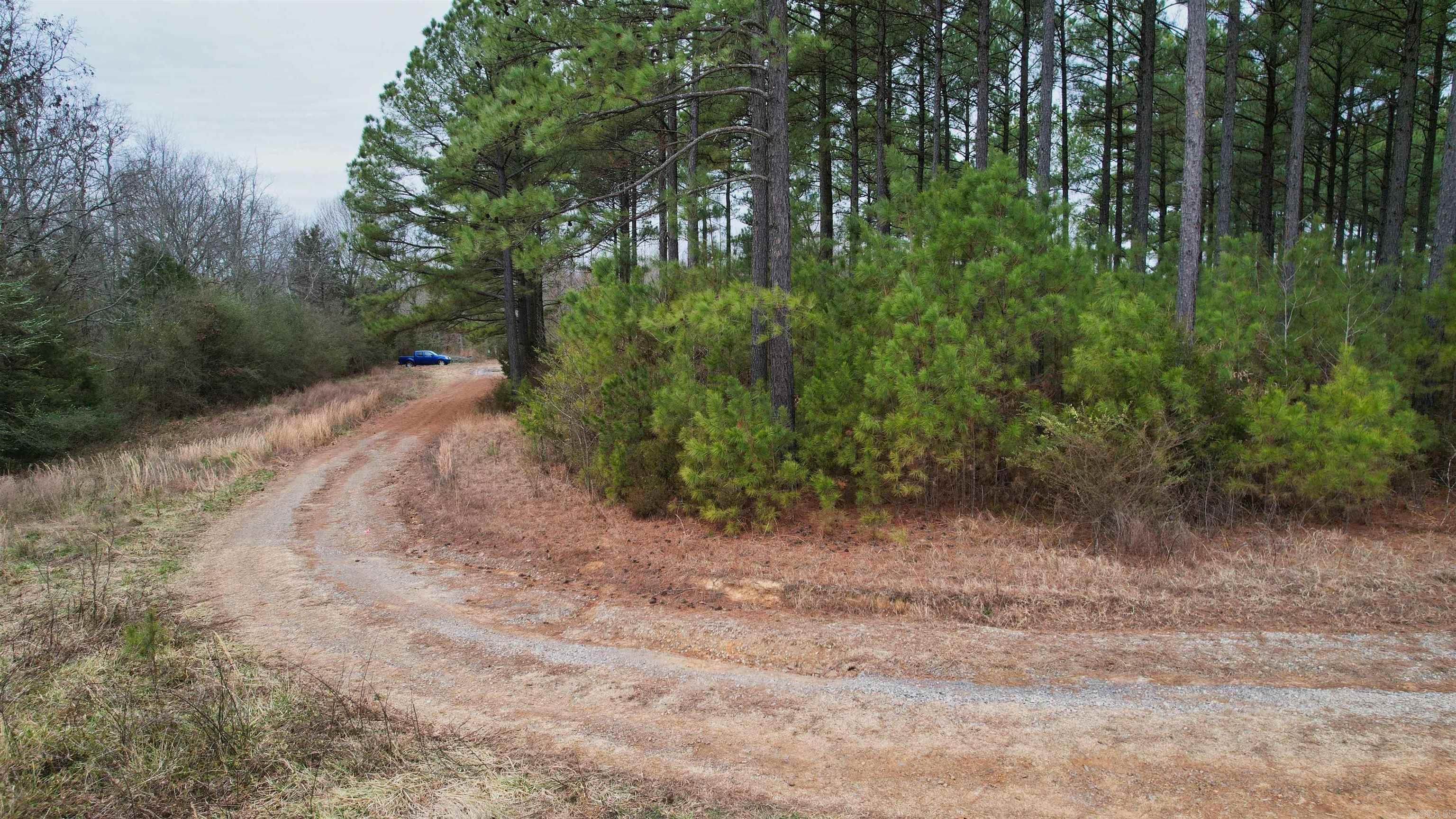 428 Pumpkin Center  Quitman, AR