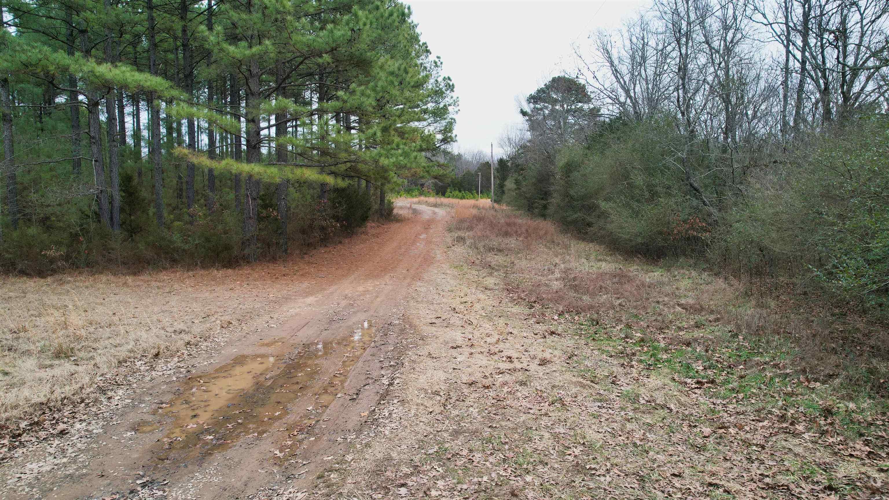 428 Pumpkin Center  Quitman, AR